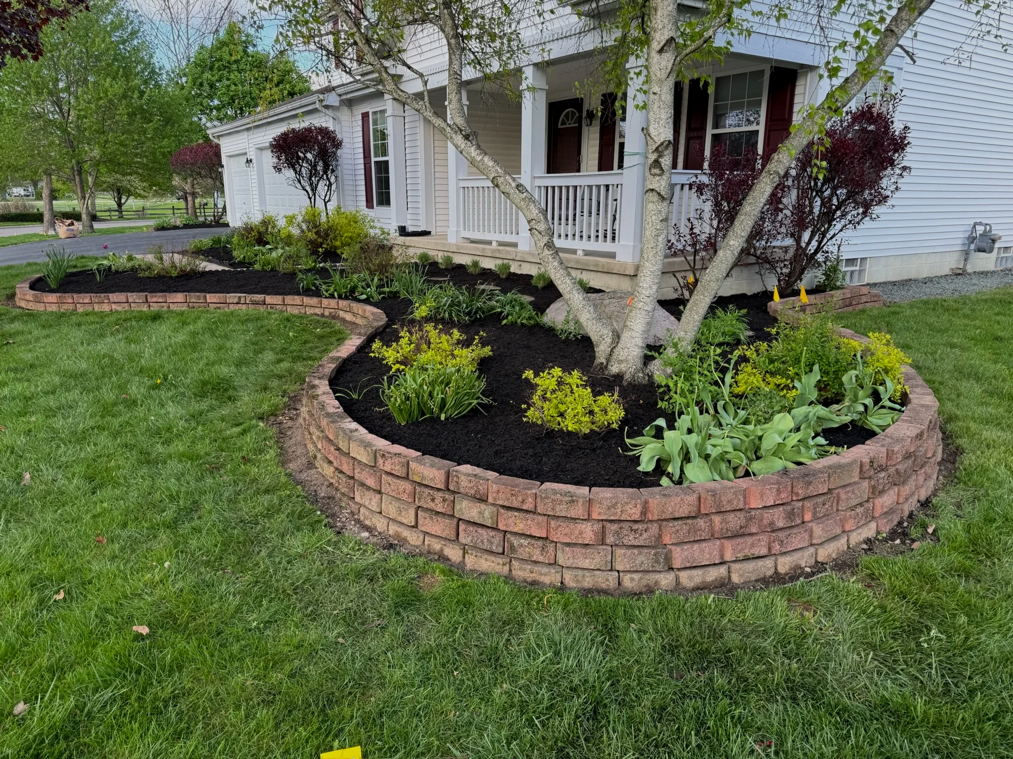 clean landscape bed with new mulch