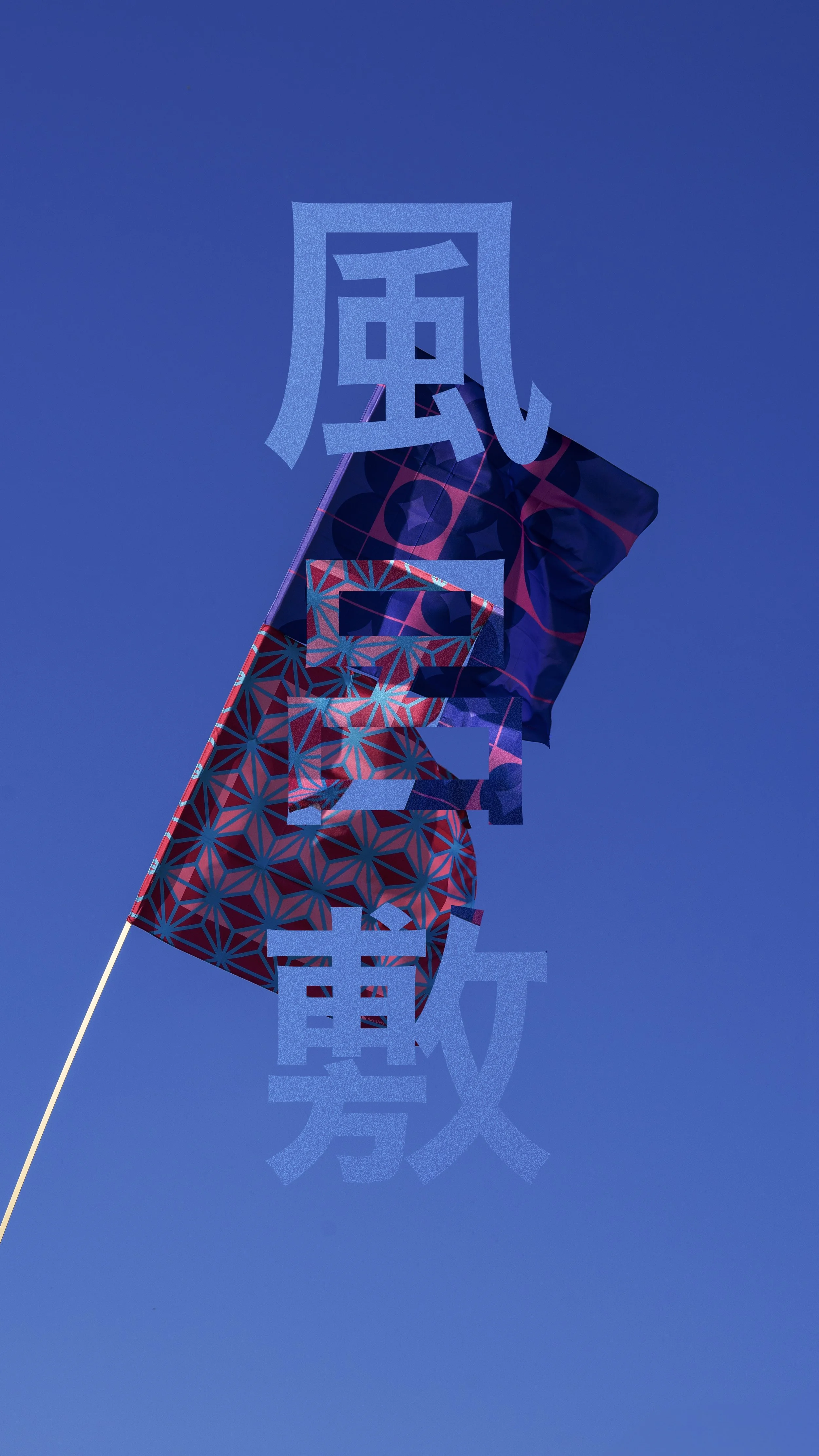 DSC05603.jpg