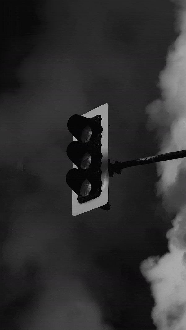 IMG_0421-ezgif.com-optimize (1).gif