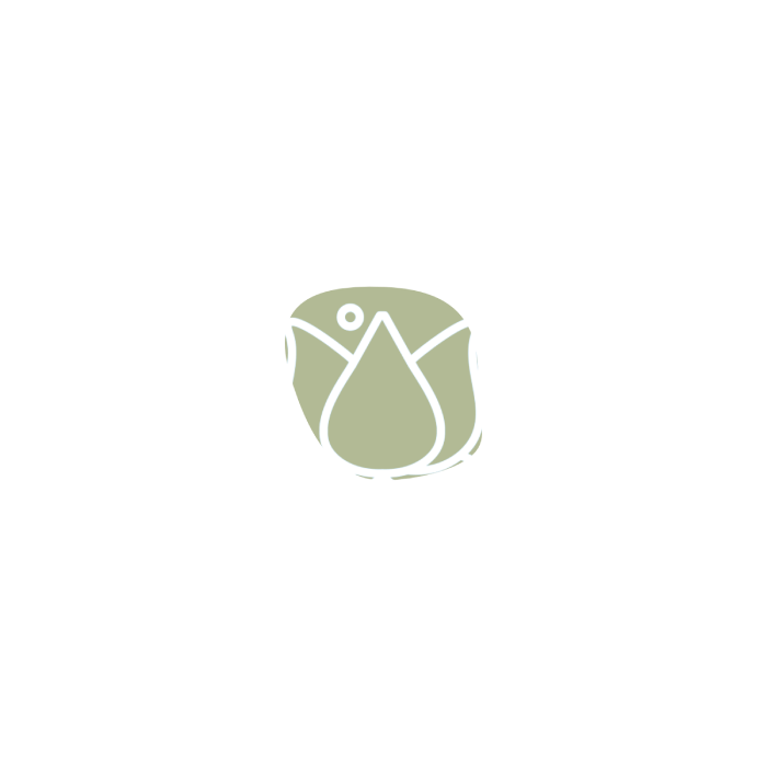 Lesperlesdepauline
