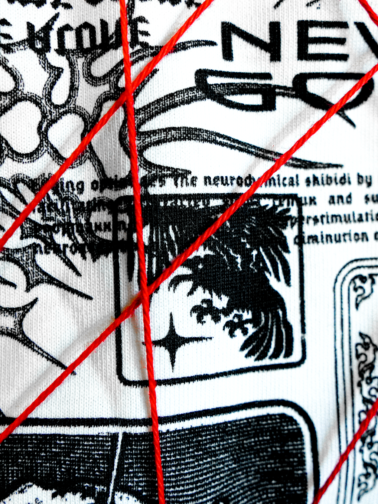 schizo+%2825%29.png