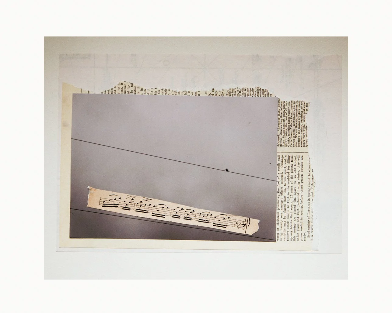 I found the missing note - Analog Collage