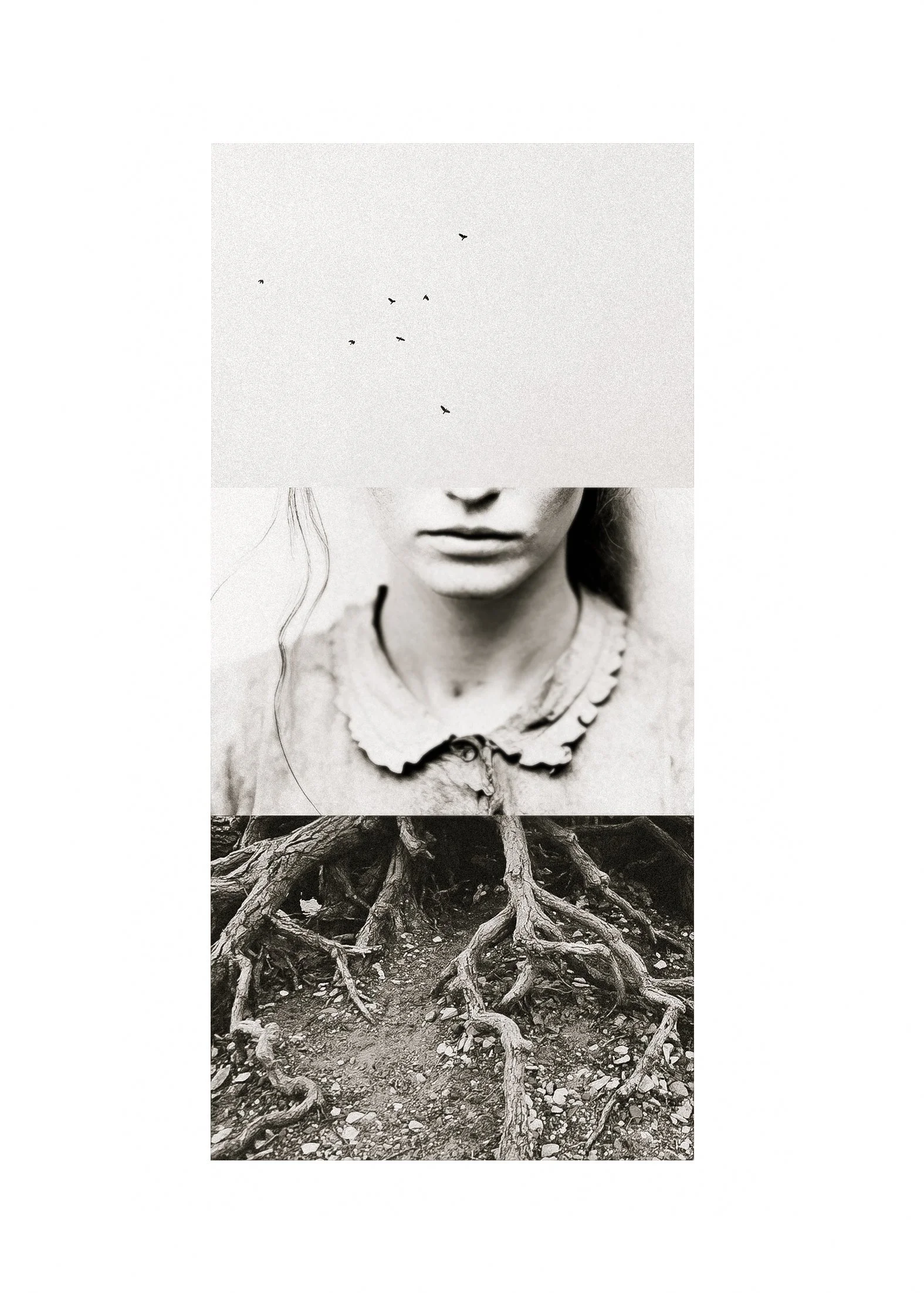 Triptych3.jpg