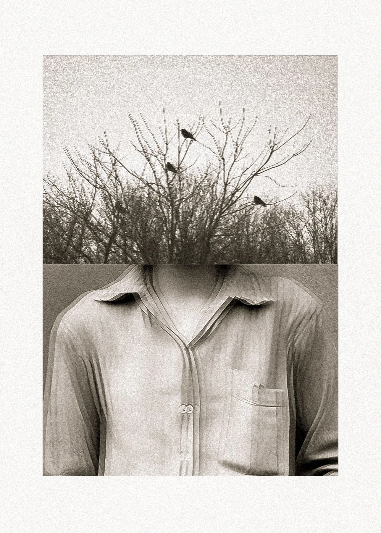 An artistic, black-and-white collage with a silhouette of a person wearing a shirt and a separate image of a leafless tree with three birds perched on its branches in the background.