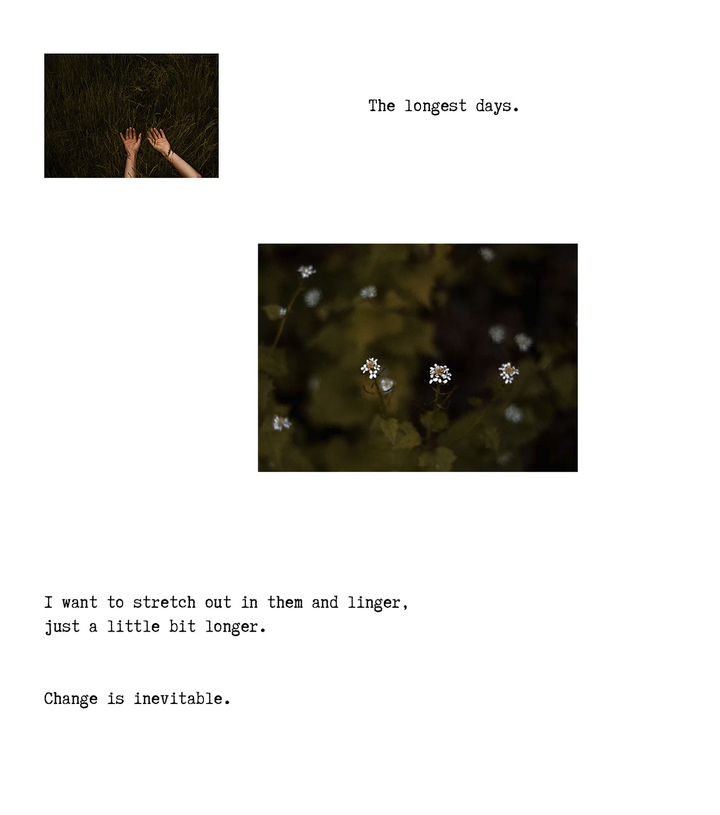 Screenshot 2025-07-15 at 11.57.52 AM.png