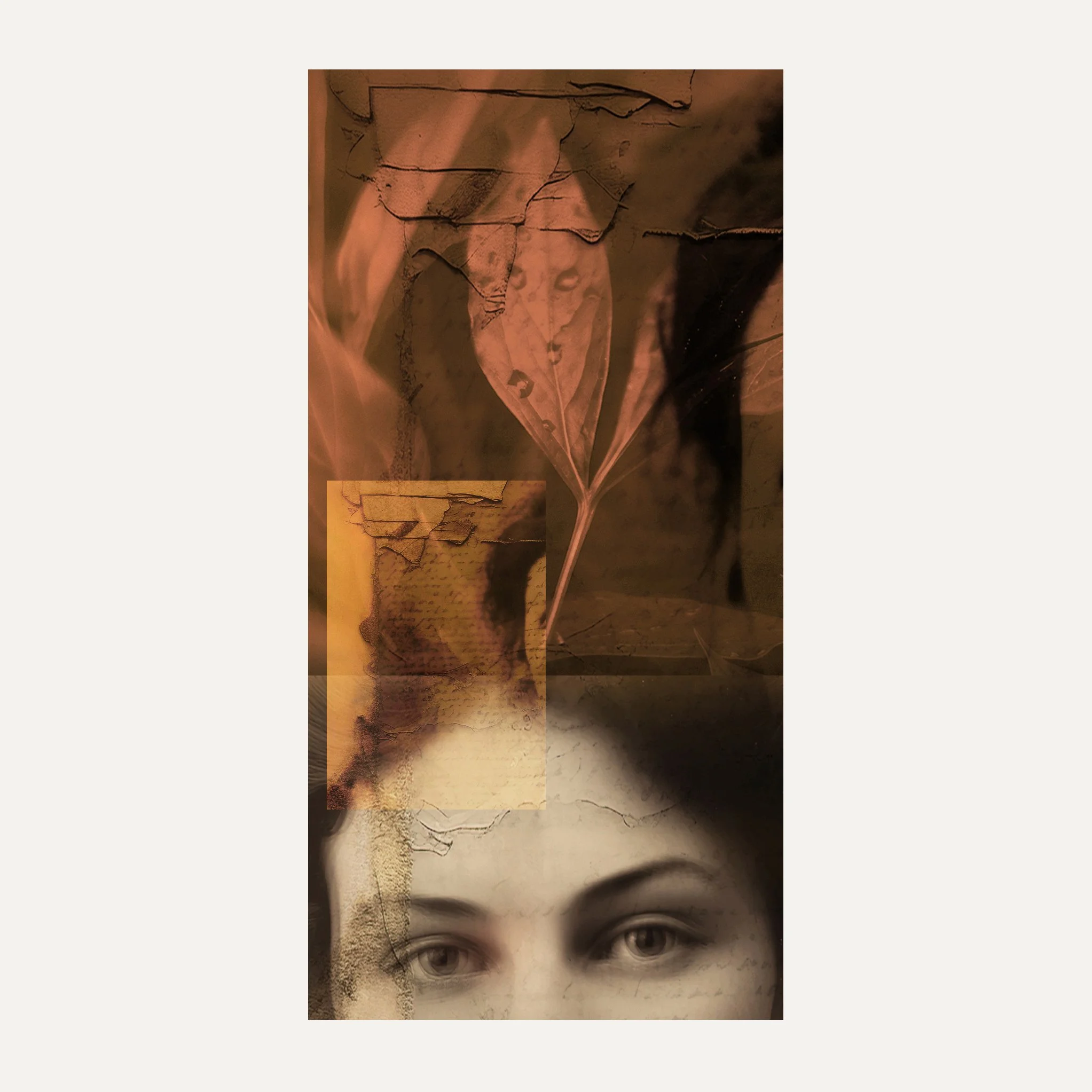 Untitled - Digital Collage