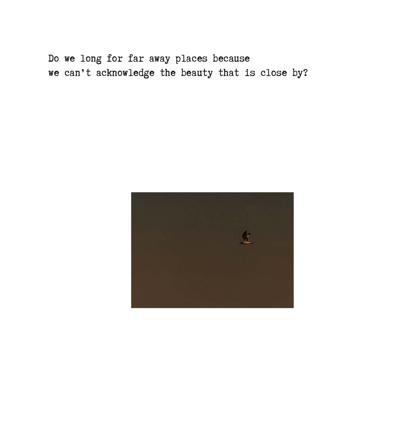 Screenshot 2025-07-15 at 11.58.35 AM.png