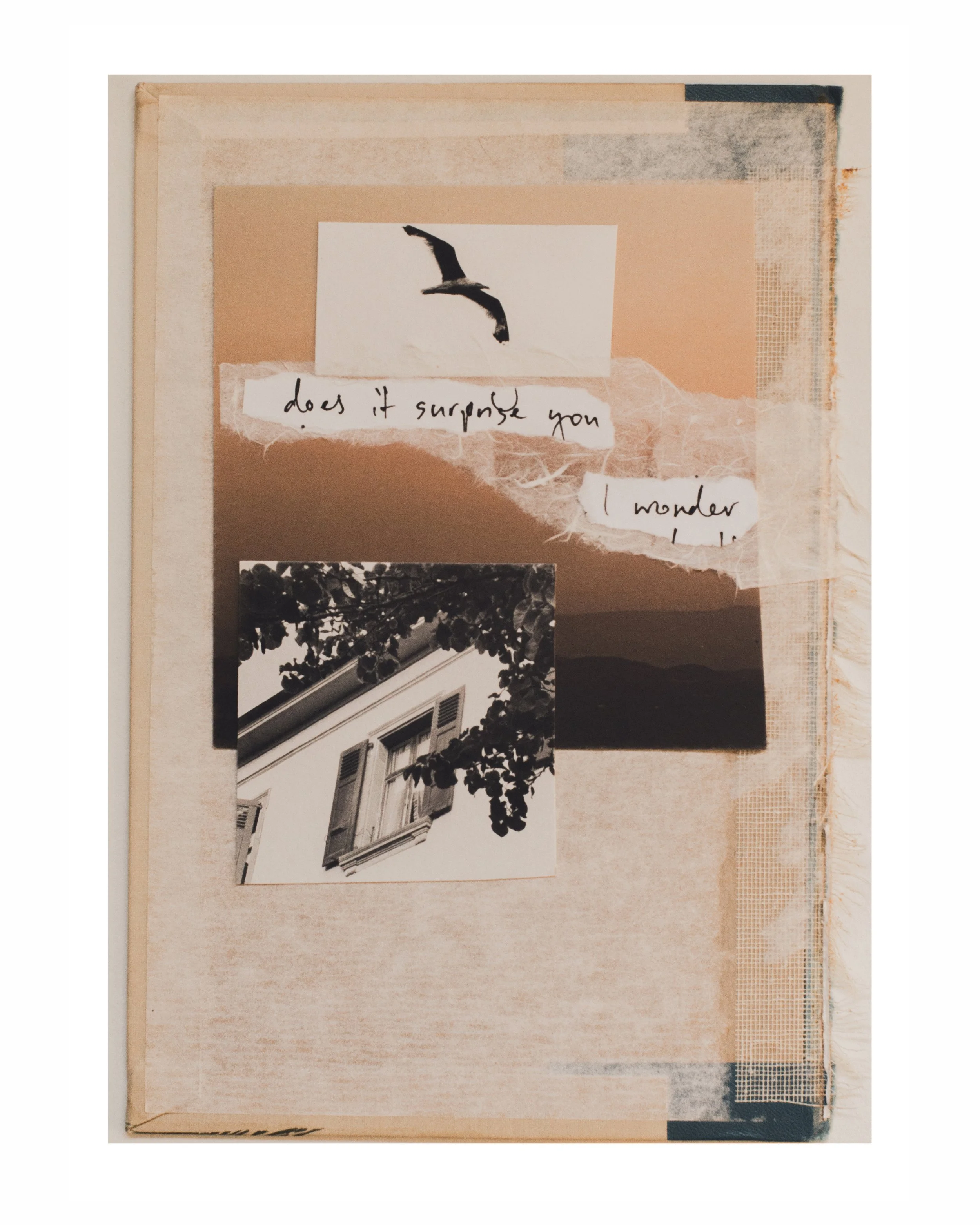 I wonder - Analog Collage