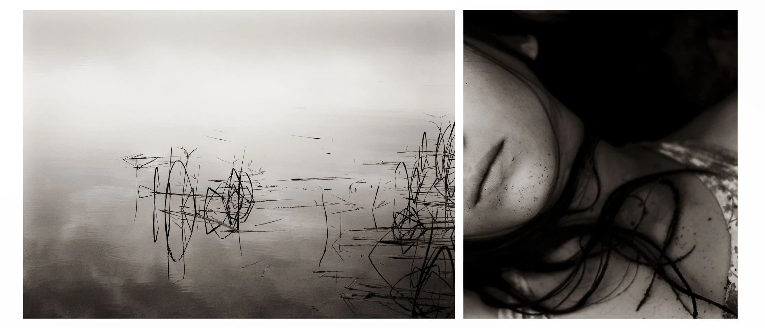 Diptych1_1.jpg