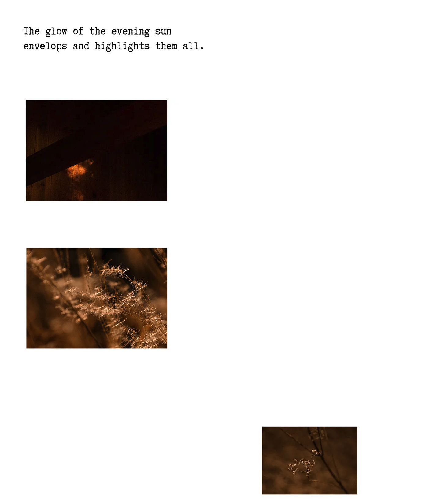 Screenshot 2025-07-15 at 11.58.26 AM.png
