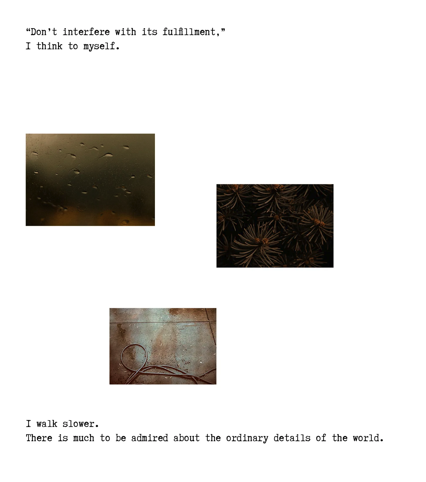 Screenshot 2025-07-15 at 11.58.20 AM.png