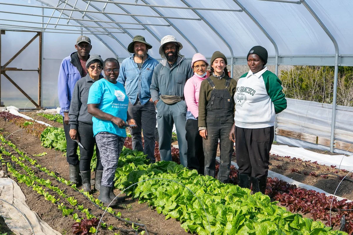 new leaf for Stanley -20.jpg