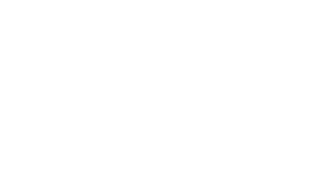 Elaine Citro