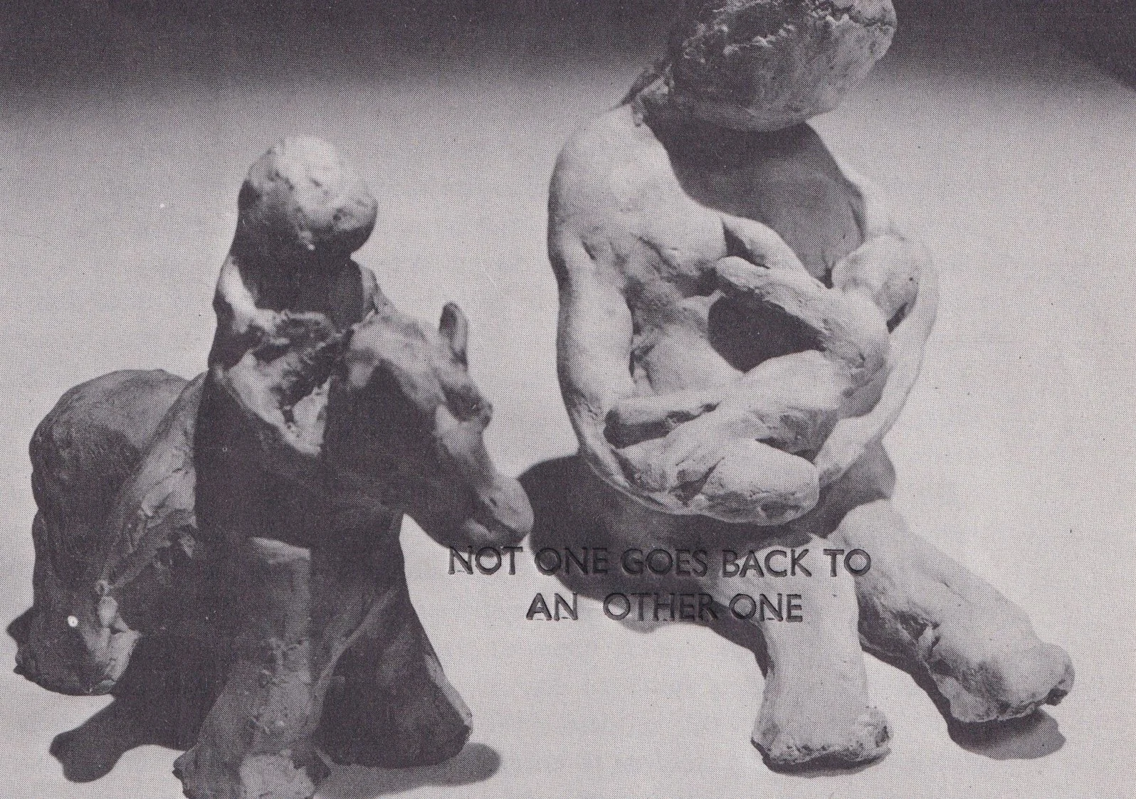 kate greenwell 20.jpg