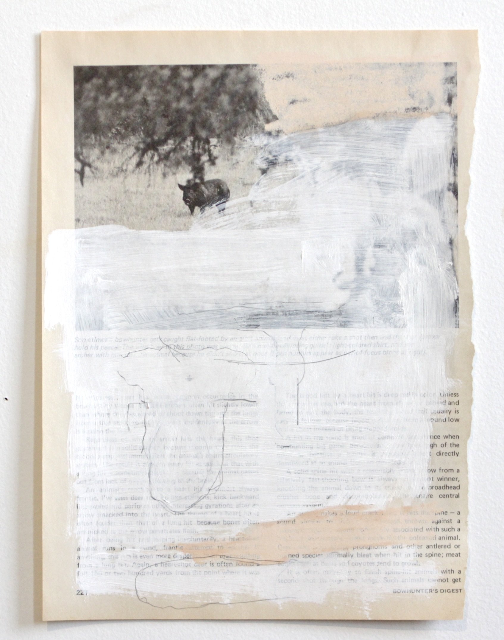 page 221 bowhunter's digest