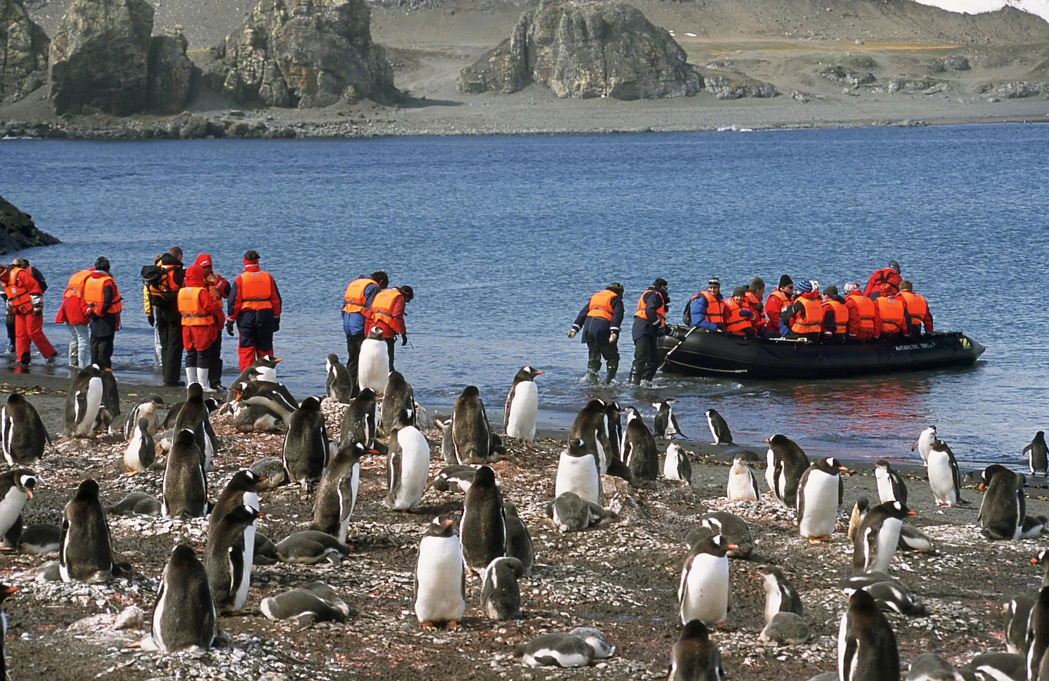 Outside Television cruises to Antarctica with the Antarctic Dream