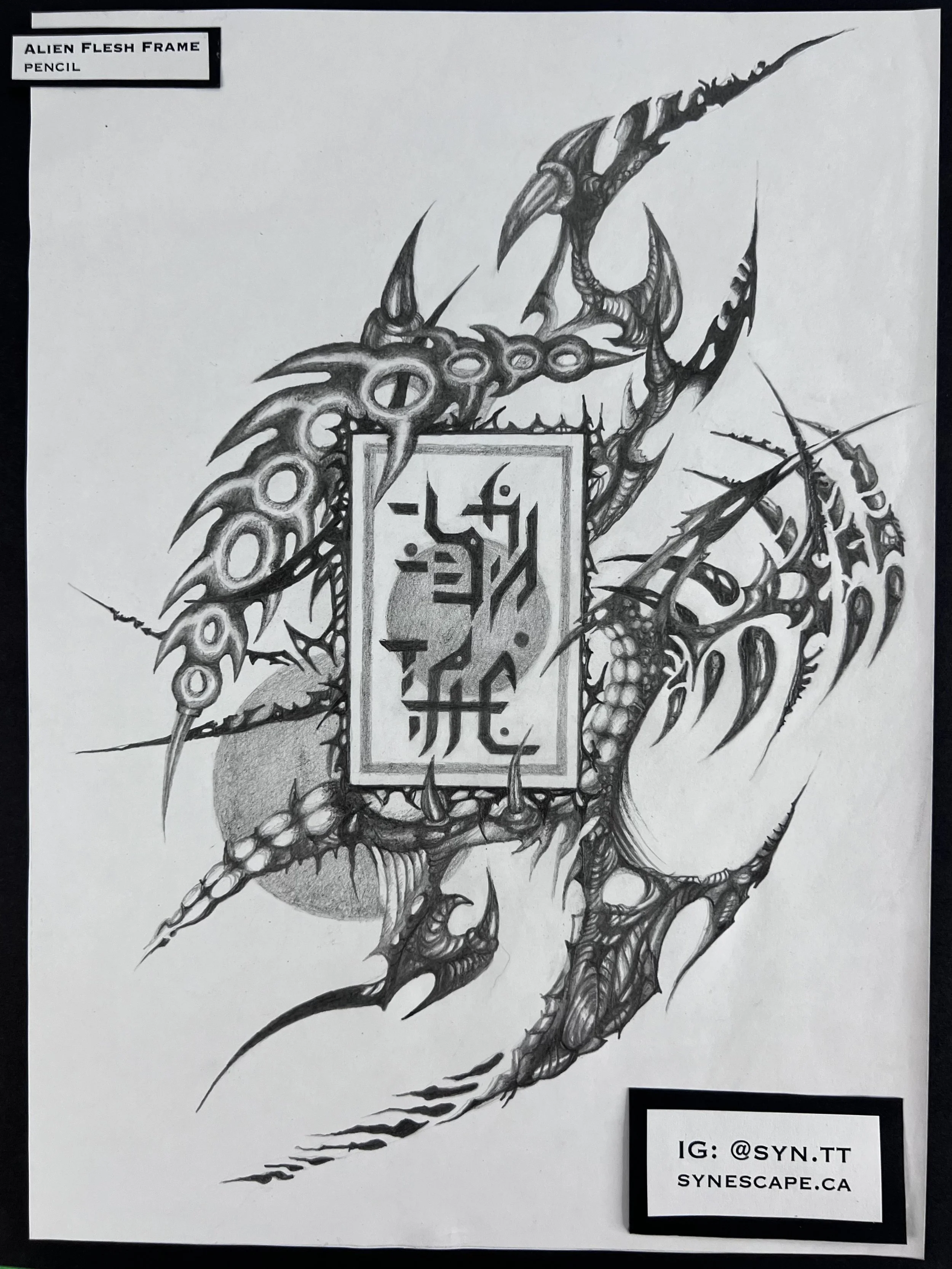 IMG_5723.png