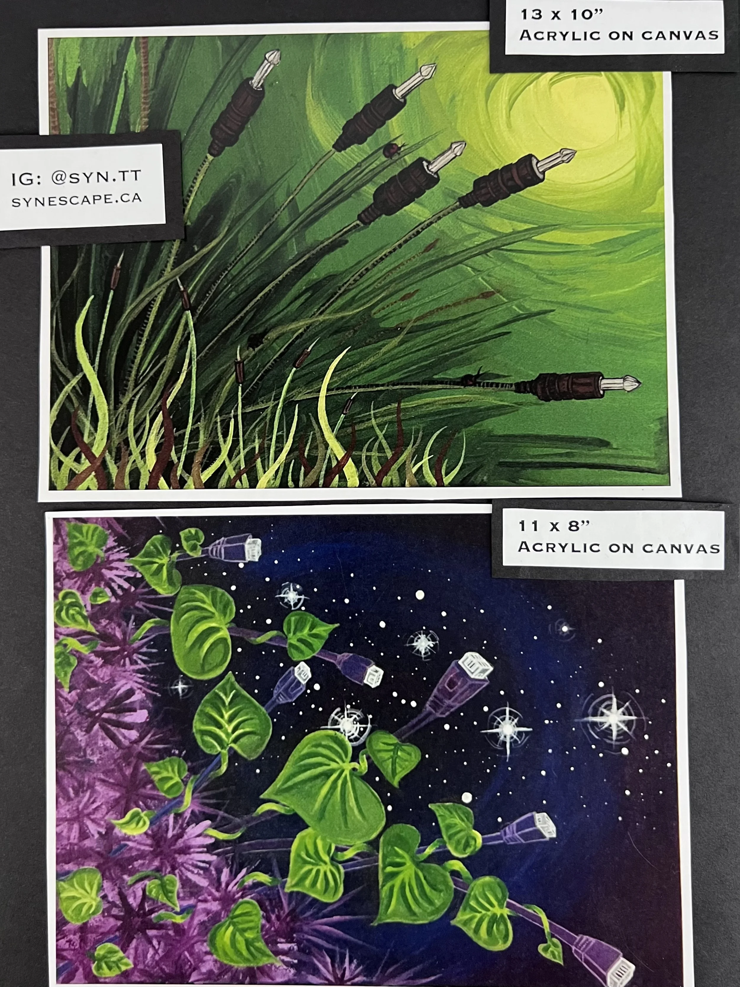 IMG_5778.png