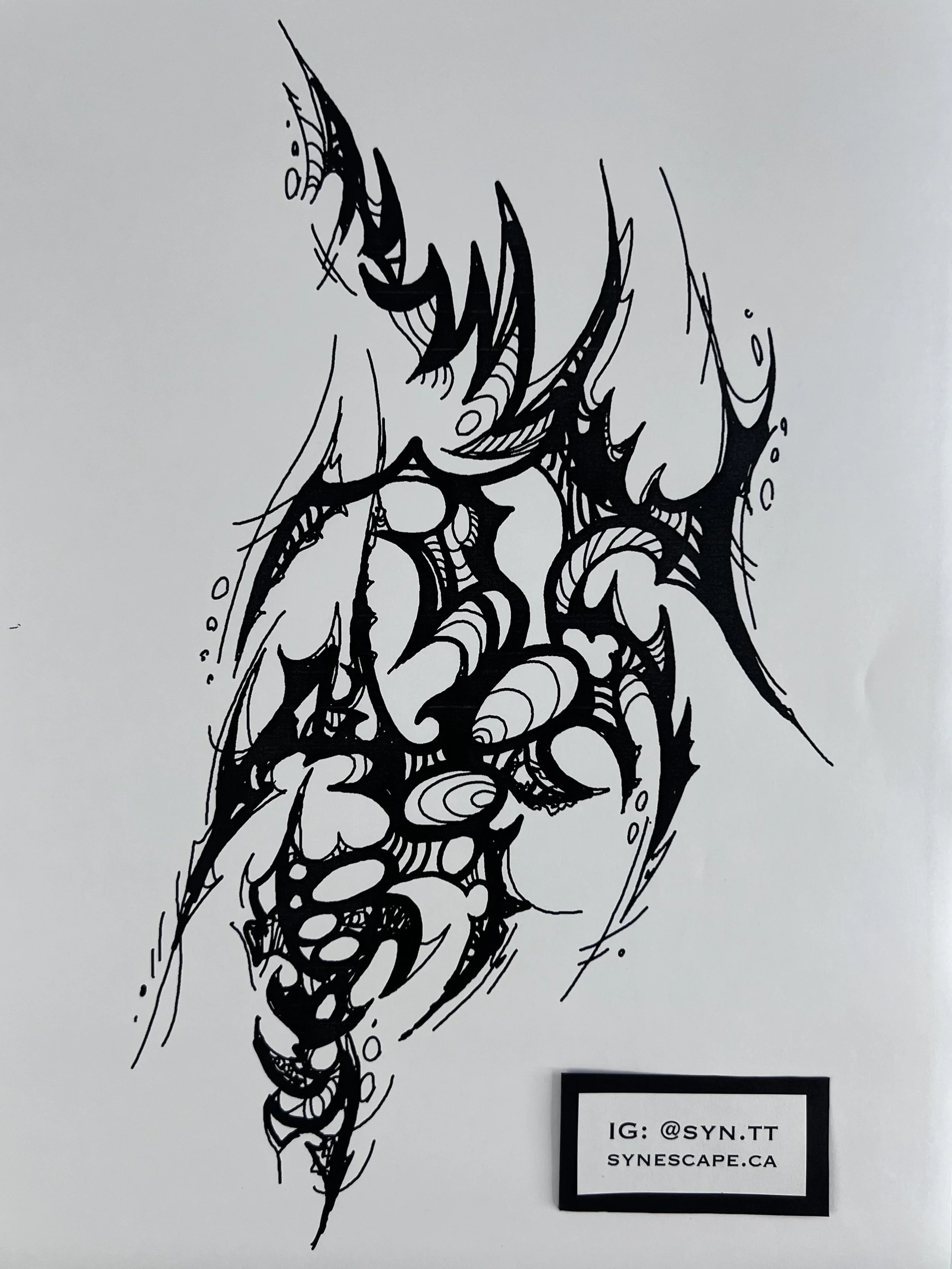 IMG_5717.png