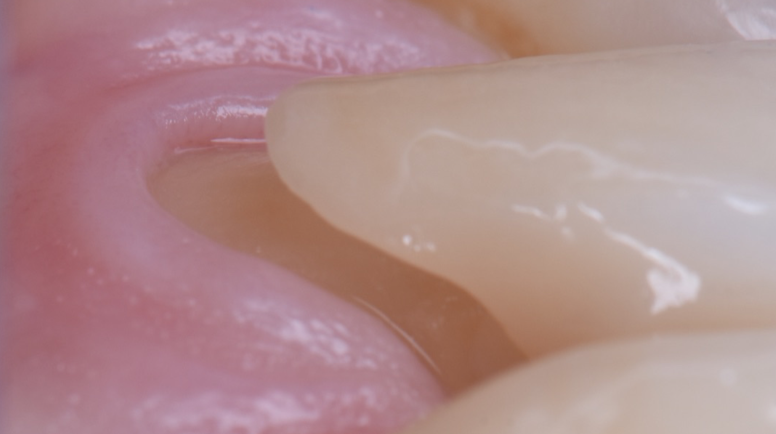 Capture d’écran 2024-07-31 à 12.00.09.png