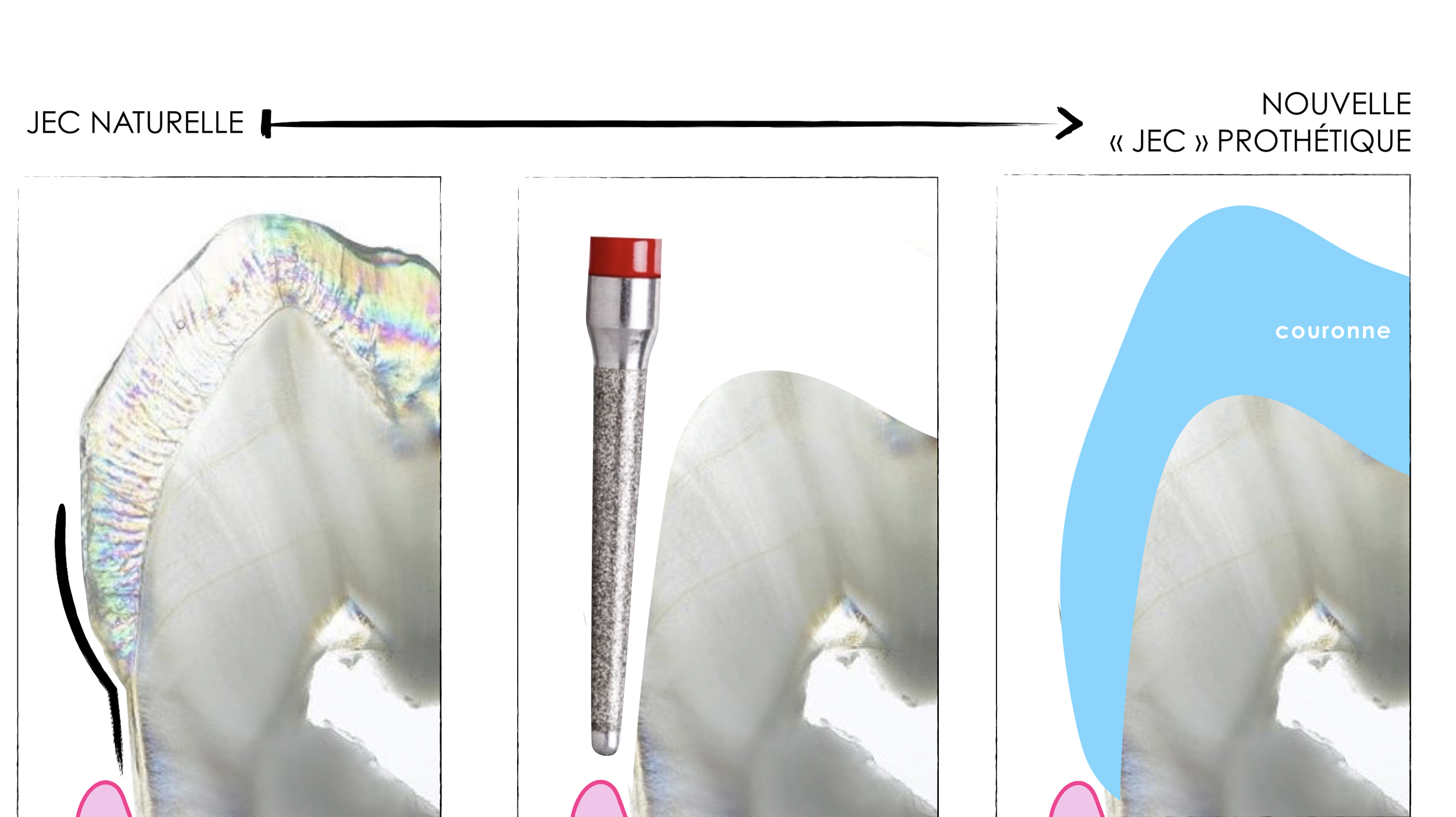 Capture d’écran 2024-07-31 à 11.55.10.png