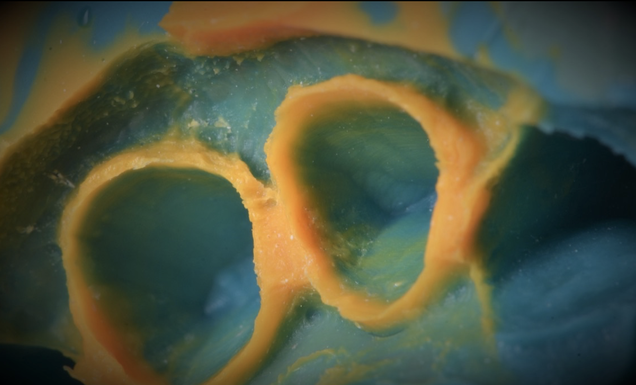 Capture d’écran 2024-06-04 à 21.57.18.png