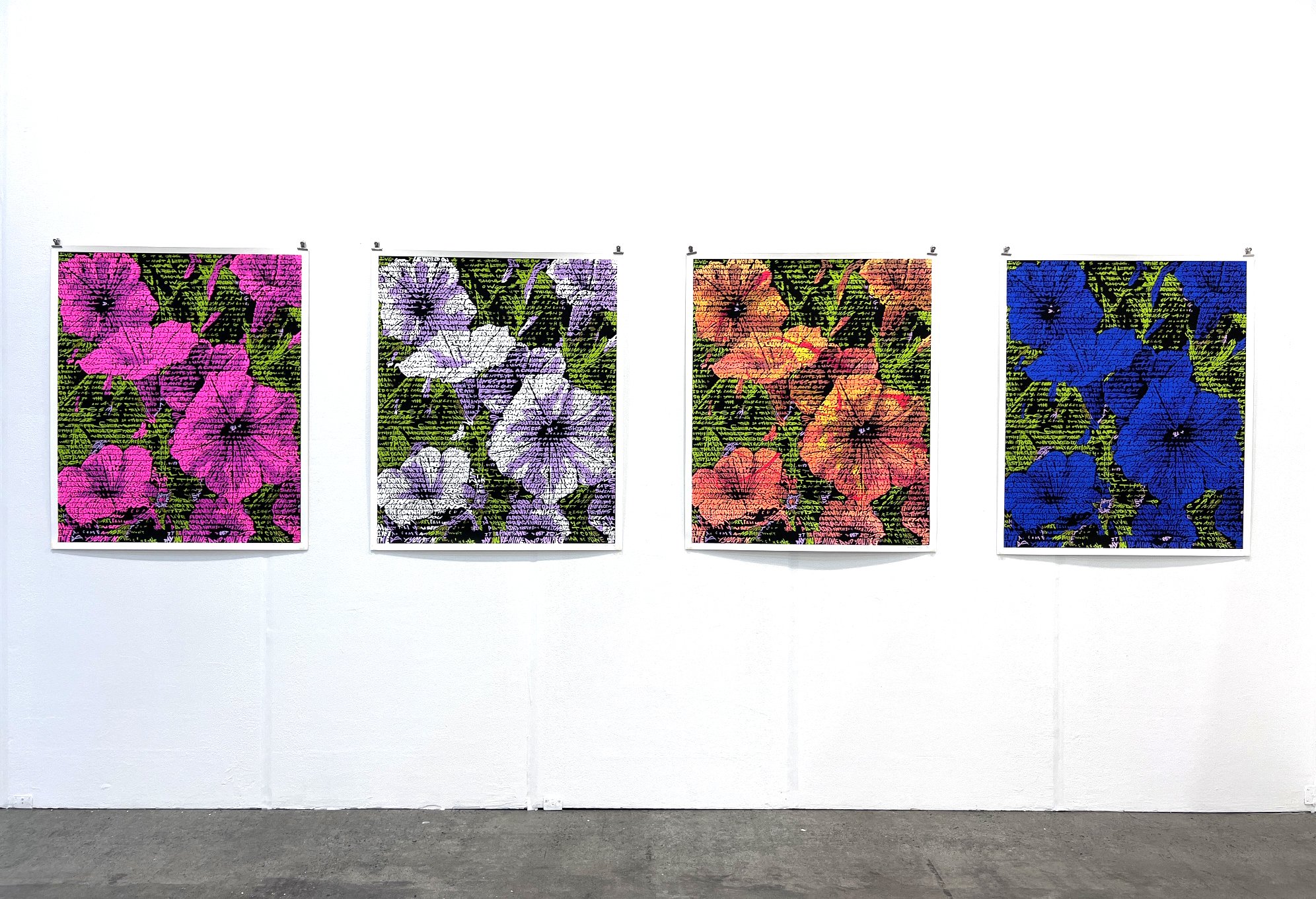 Petunias