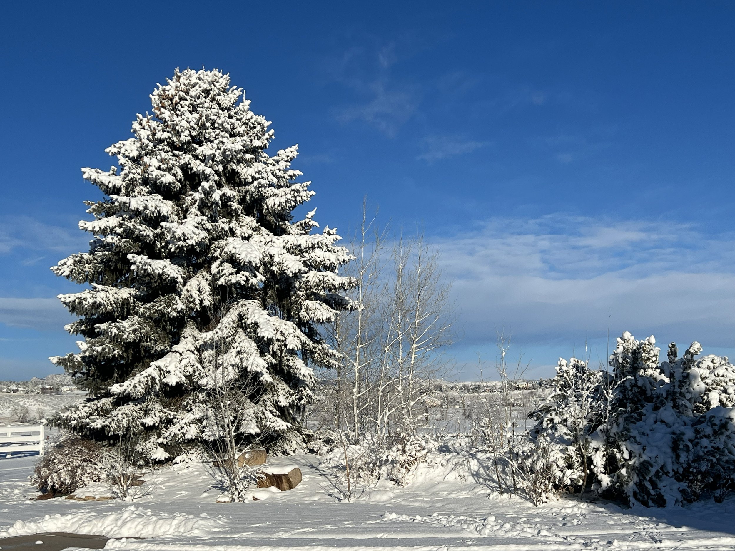 Winter Health: Honoring Seasonal Rhythms in Body and Life