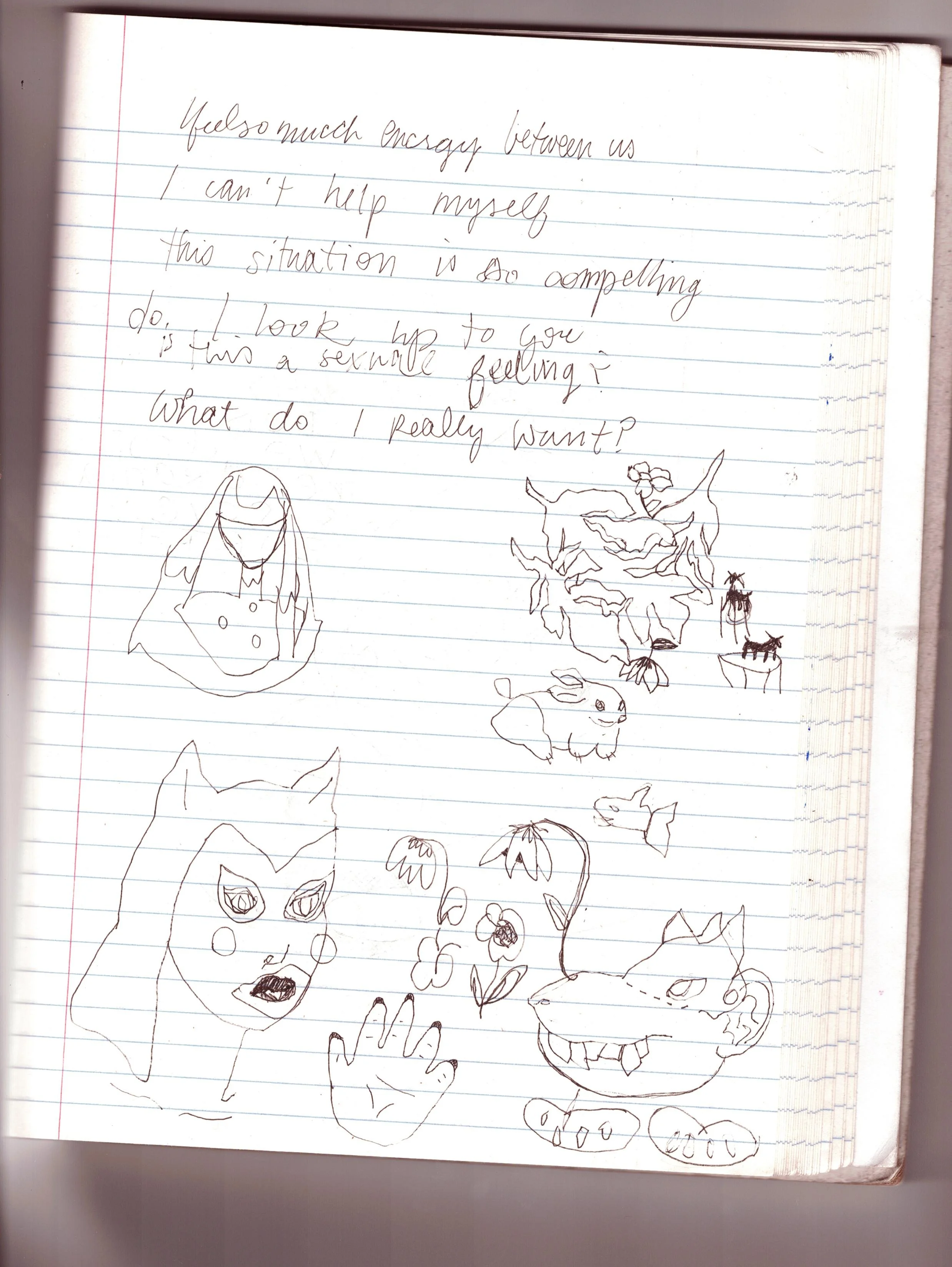 before SmartPoor20.jpg