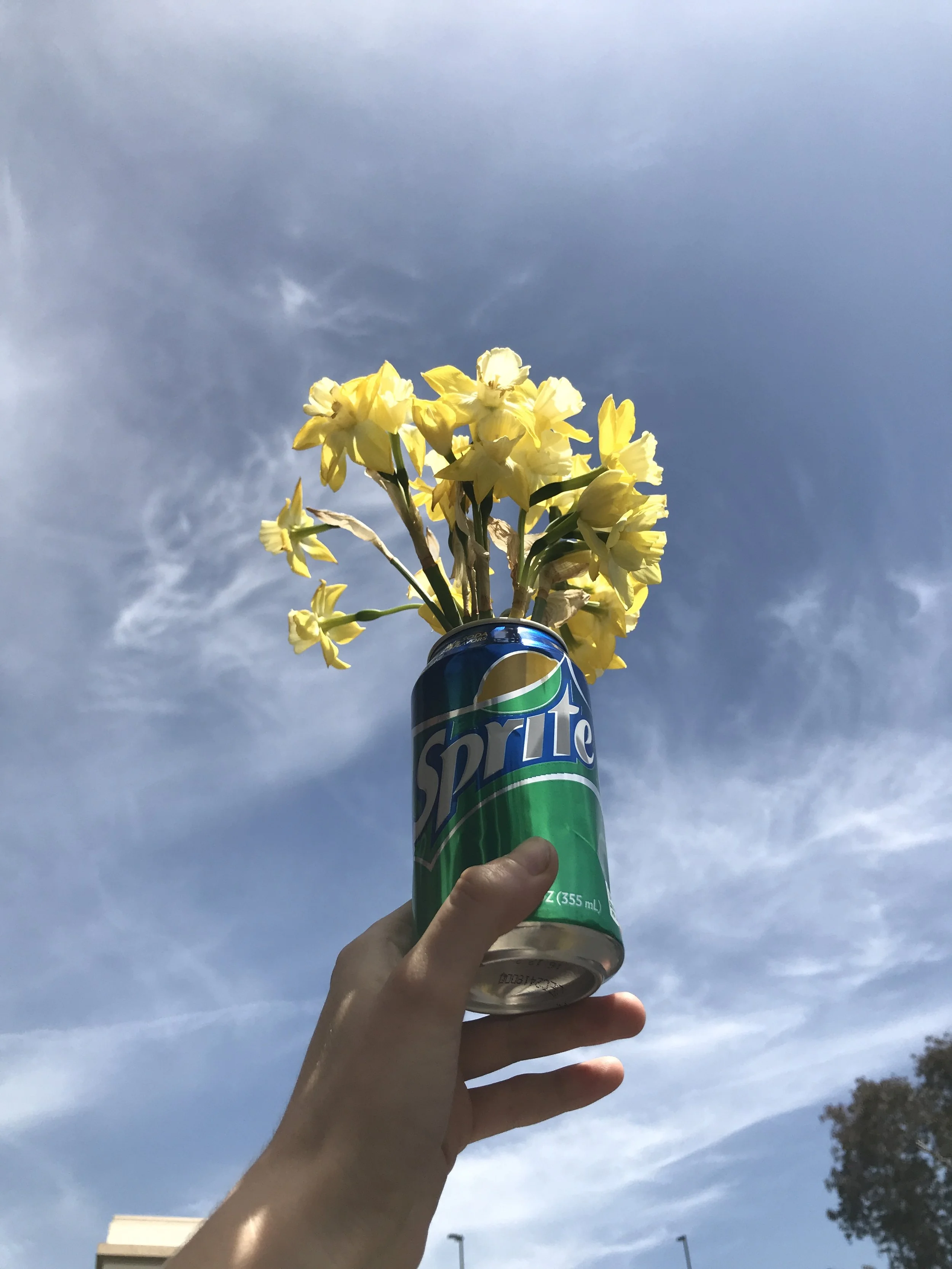 Plants and Animals 2018