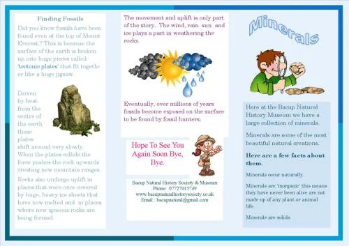 Minerals Information Worksheet