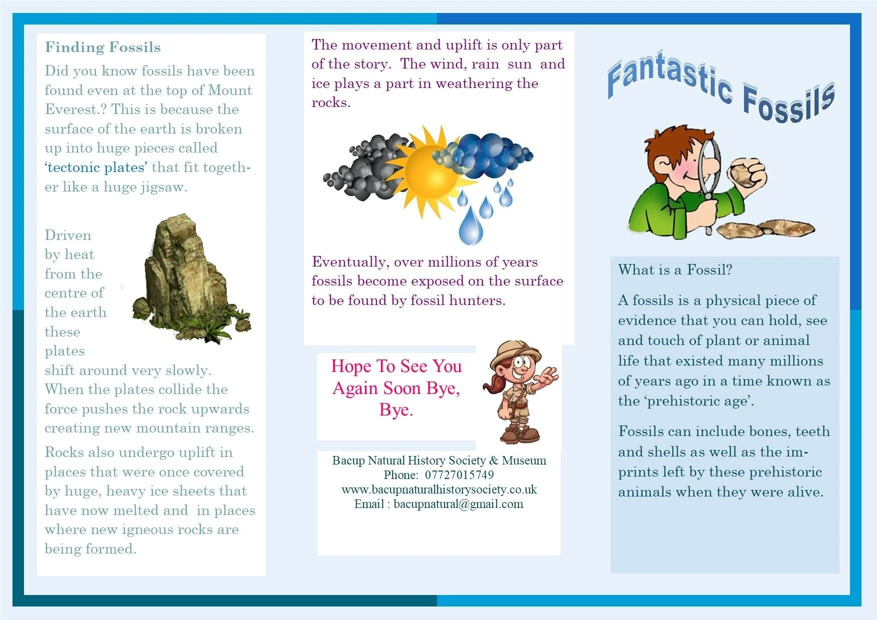 Fantastic Fossils Information Sheet