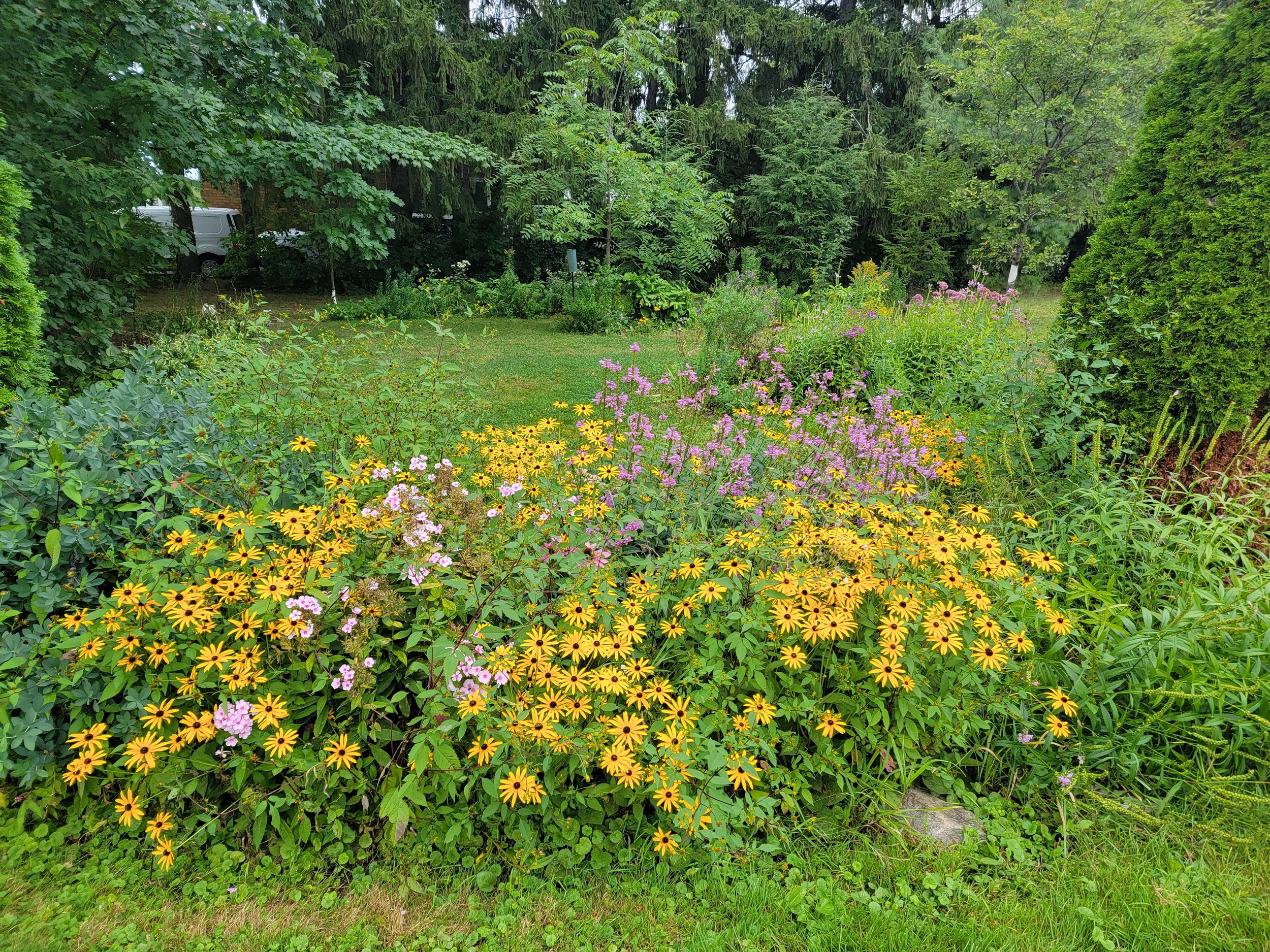 Pollinator Garden at Mount Calvary Church, Ottawa. Photo credit by Hannah Rockburn