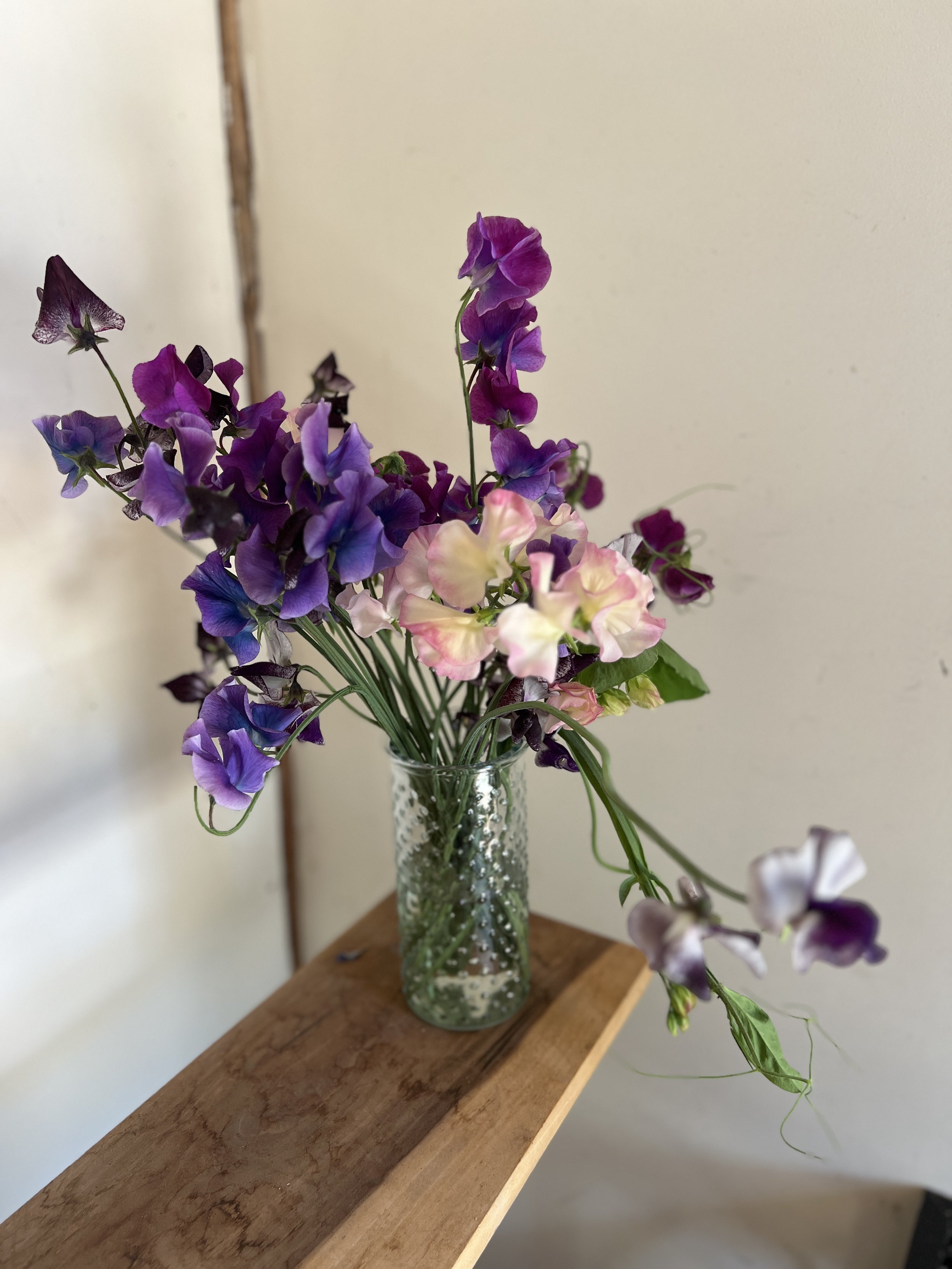 IMG_3794.jpeg