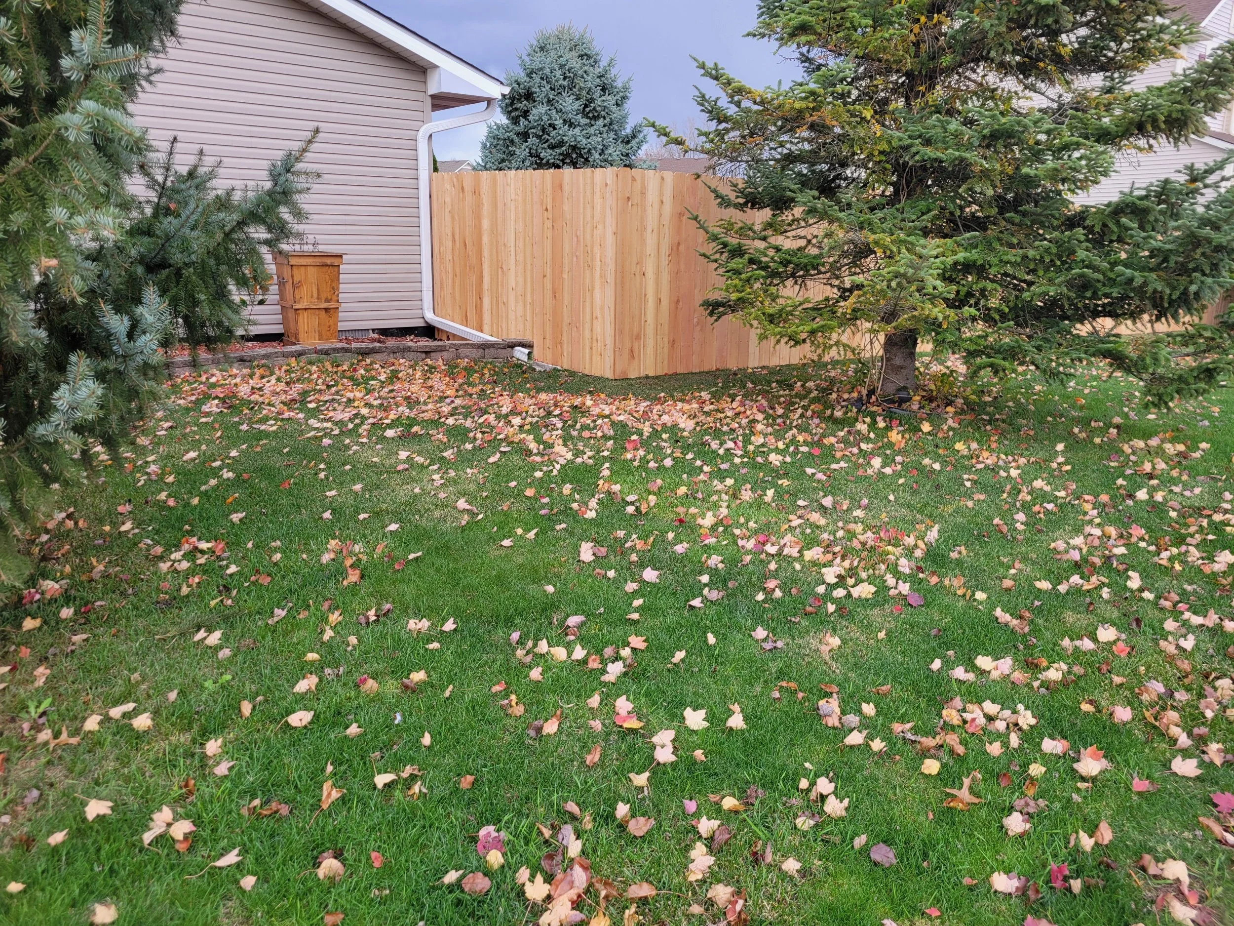 processed_20241120_143738.jpg
