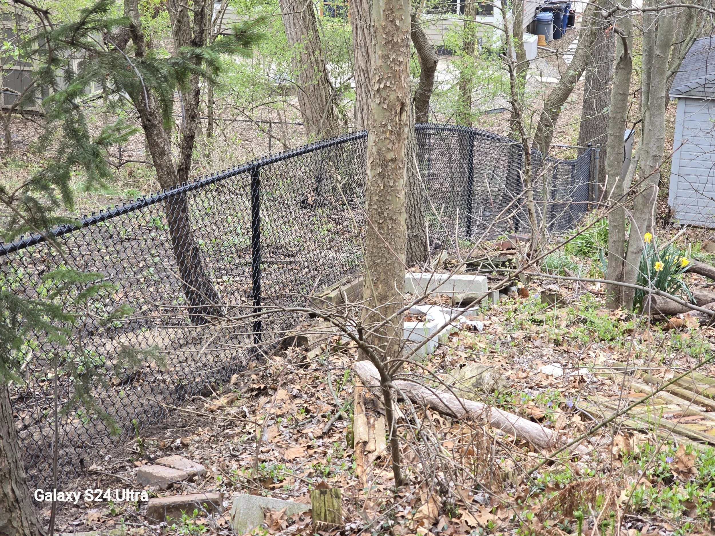 processed_20260410_172657.jpg