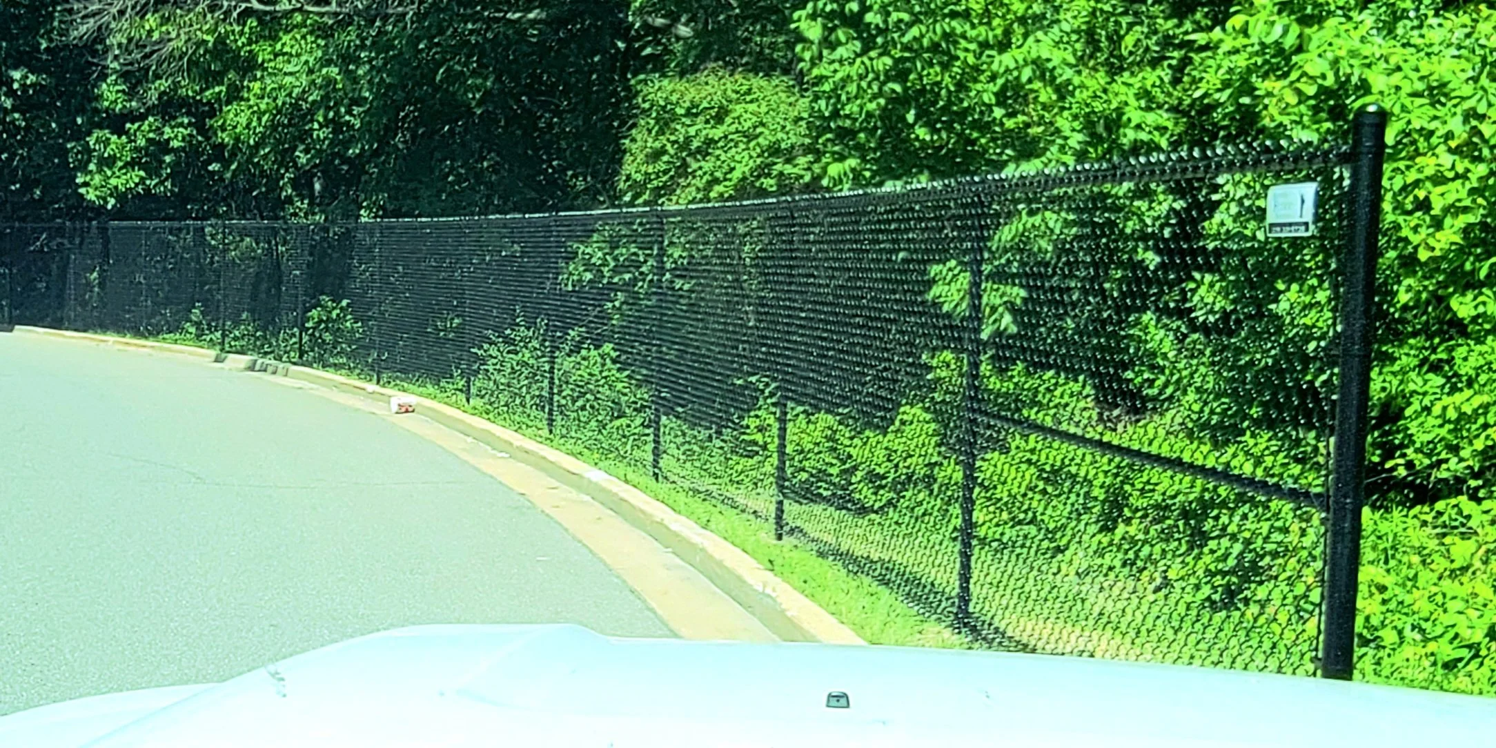 20240607_114223.jpg