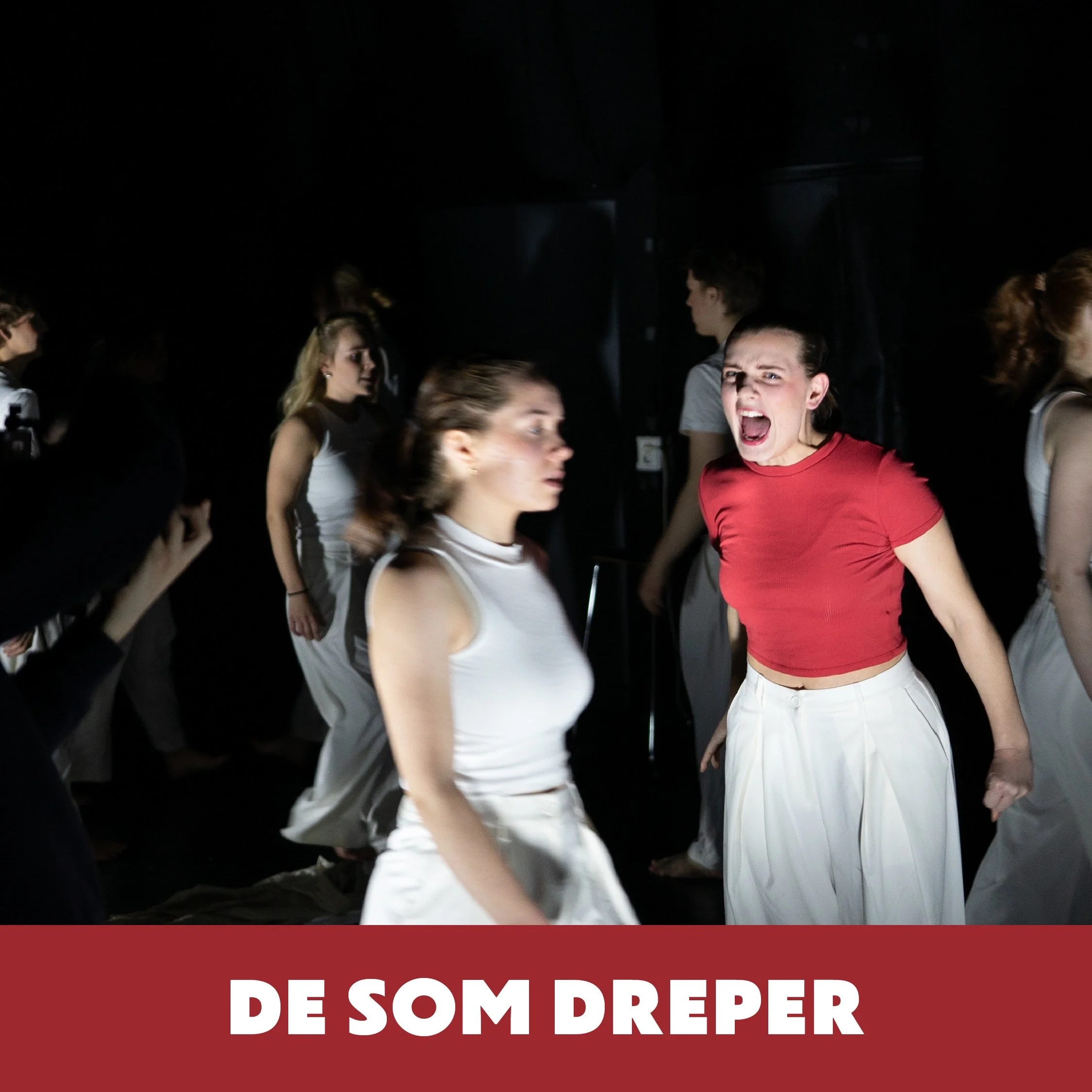 DE SOM DREPER