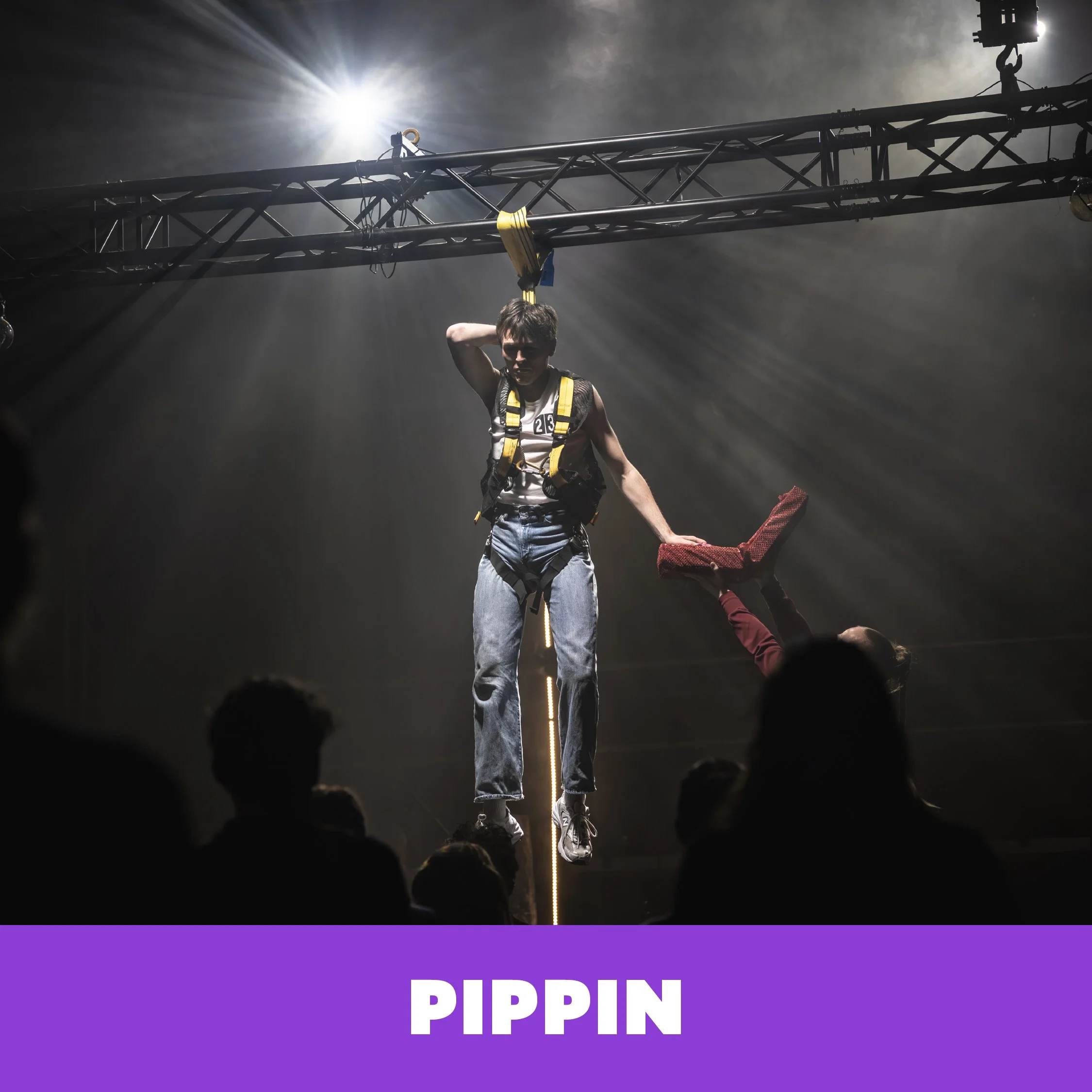 PIPPIN
