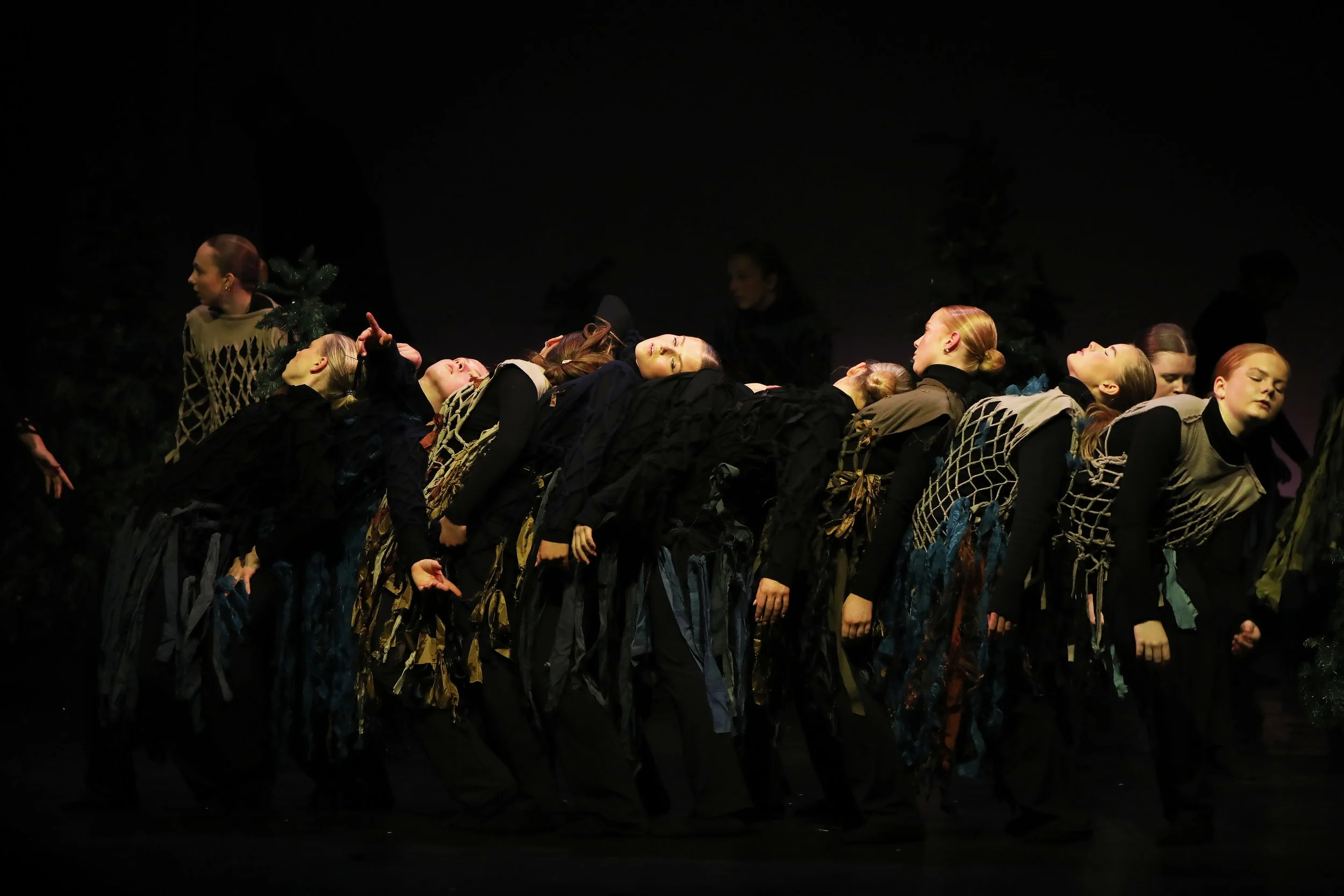 skogen11.jpg