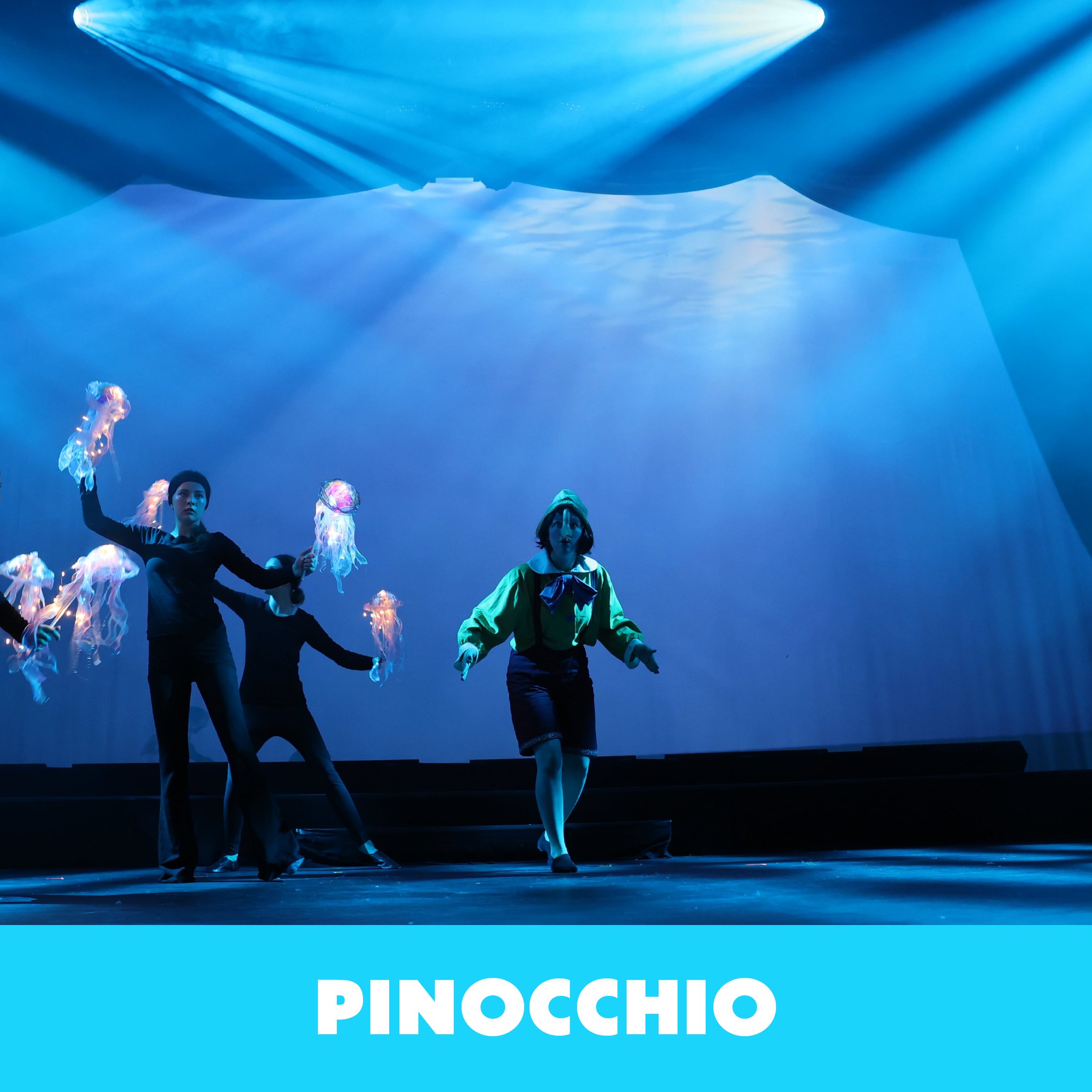 PINOCCHIO