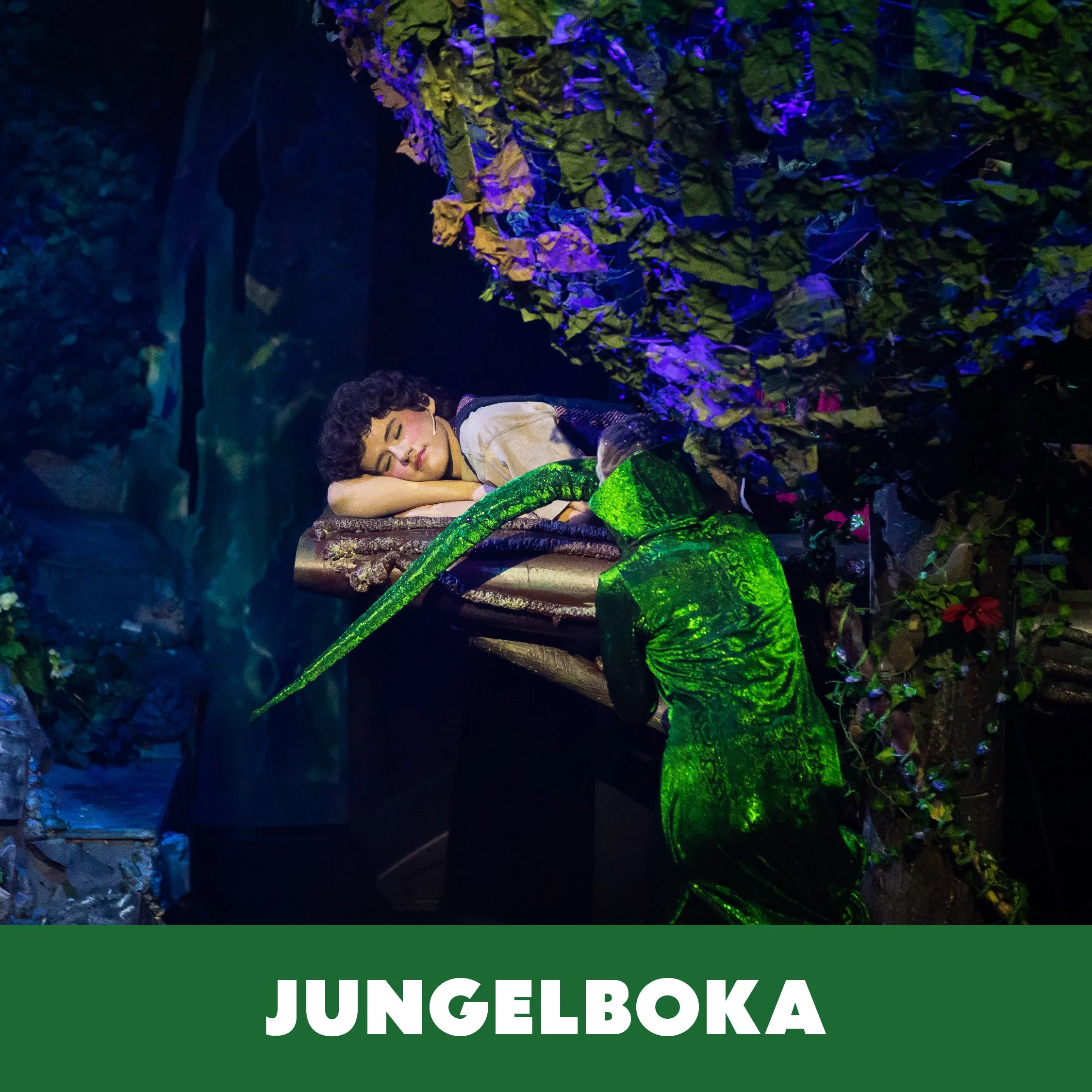 JUNGELBOKA