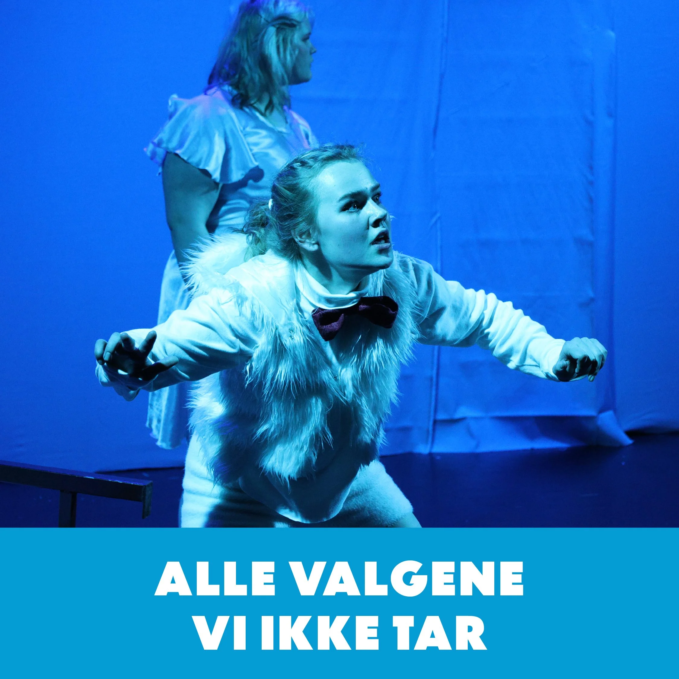 ALLE VALGENE VI IKKE TAR