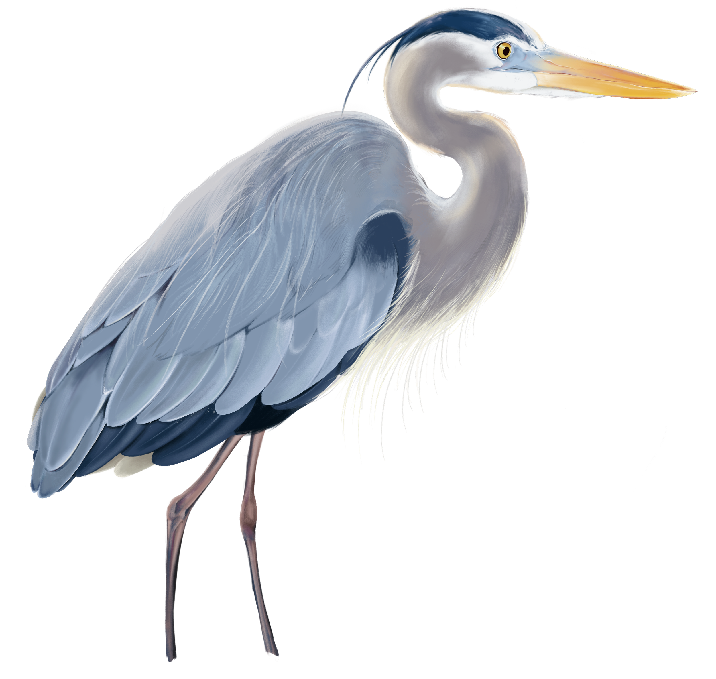 Untitled_Artwork 80.png