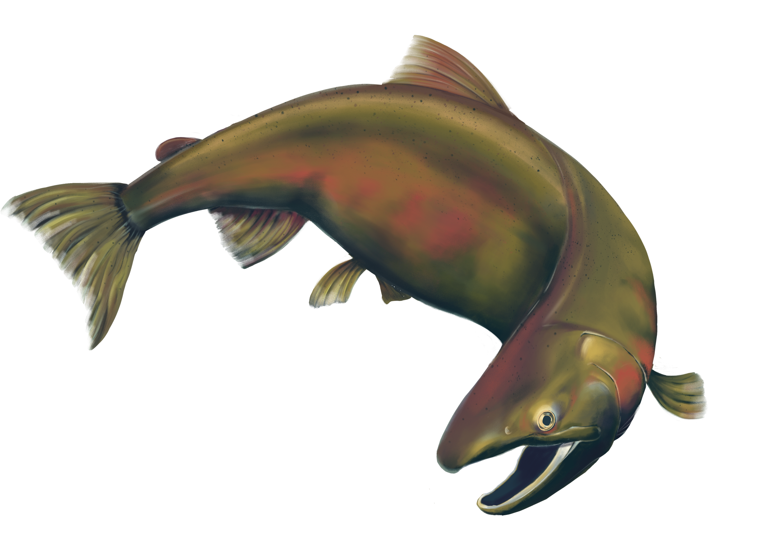 Untitled_Artwork 81.png