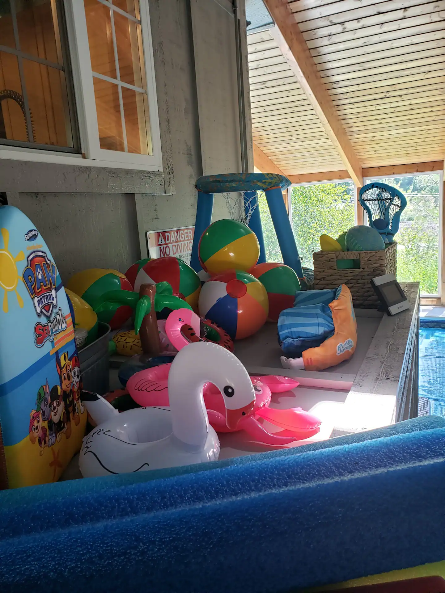 Indoor Pool Toys 1.png