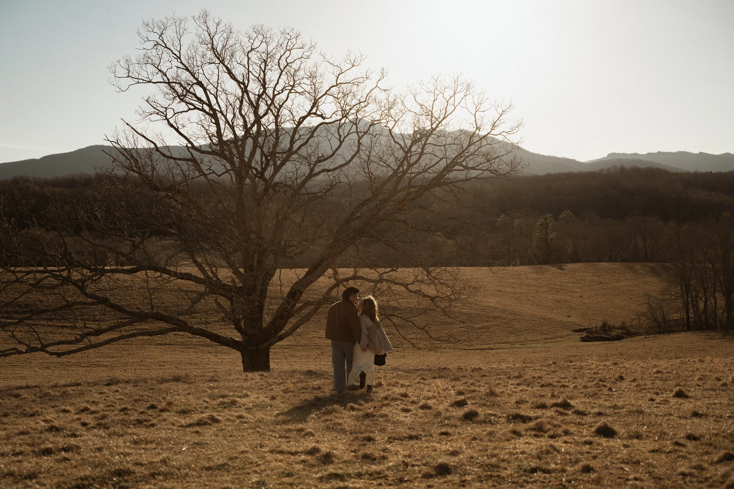 Boone North Carolina Golden Hour Rolling Hills Maternity Session