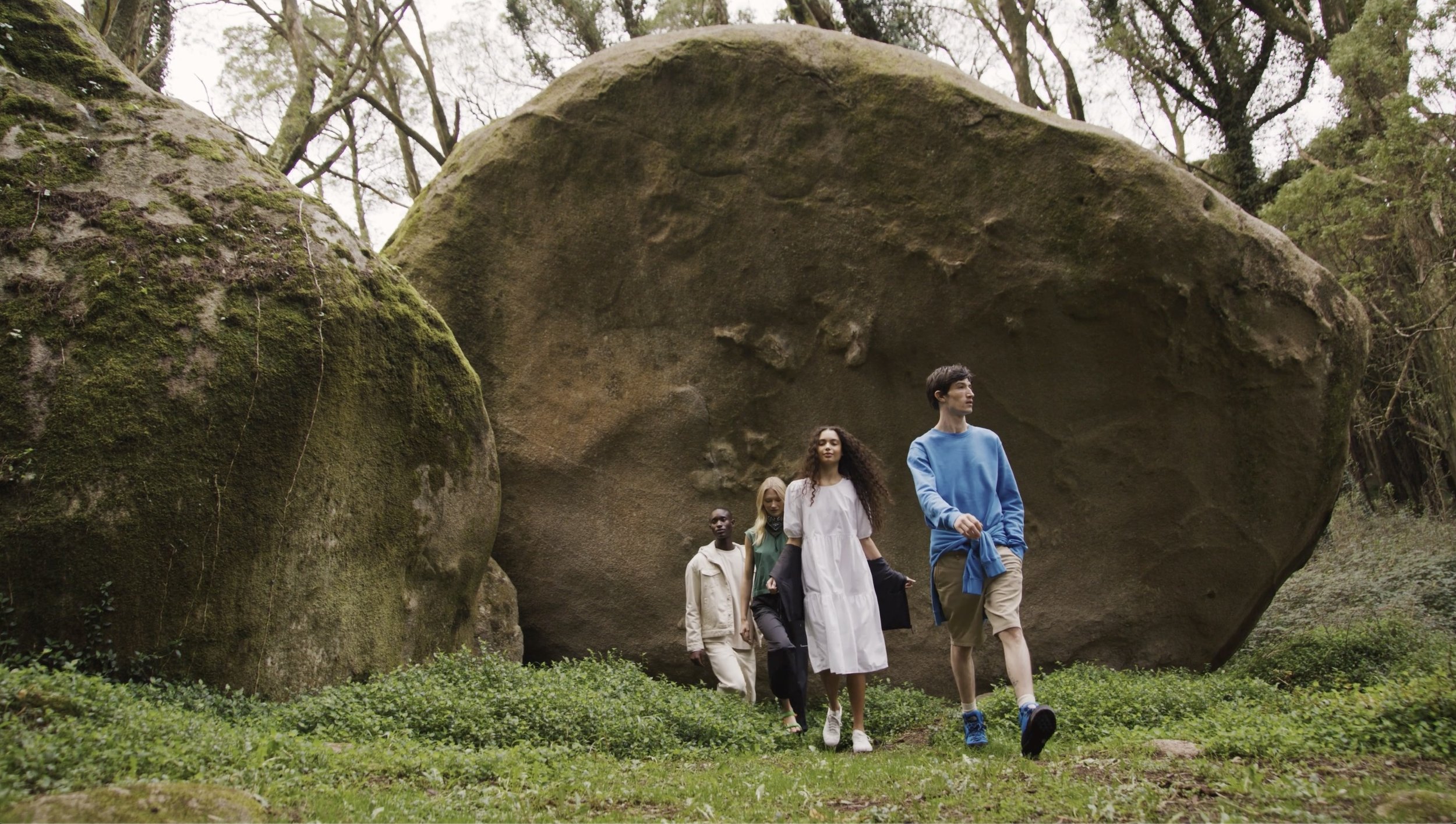 P&C Sustainability Campaign