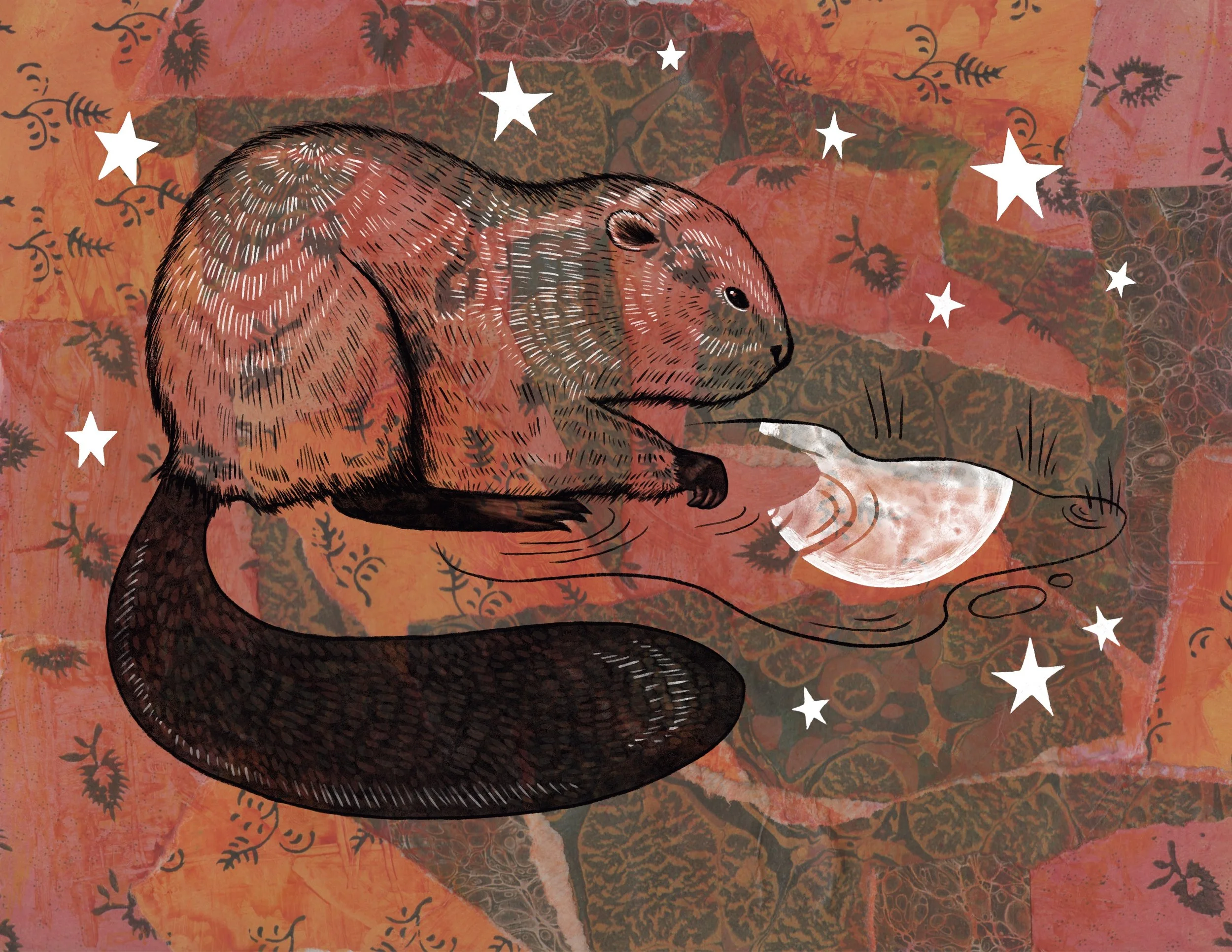 November: Beaver Moon