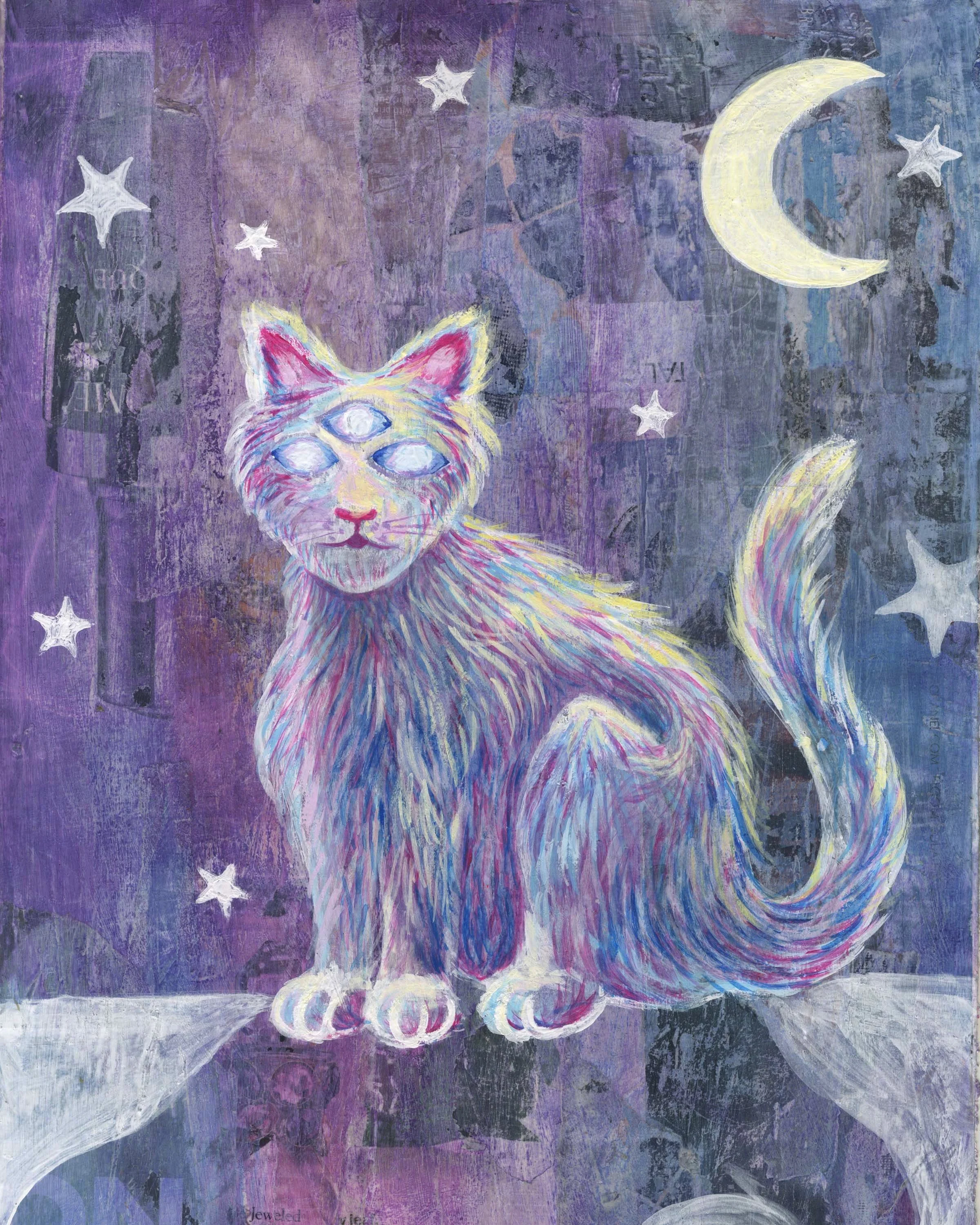 Image 2-1-24 at 1.51 PM.jpg